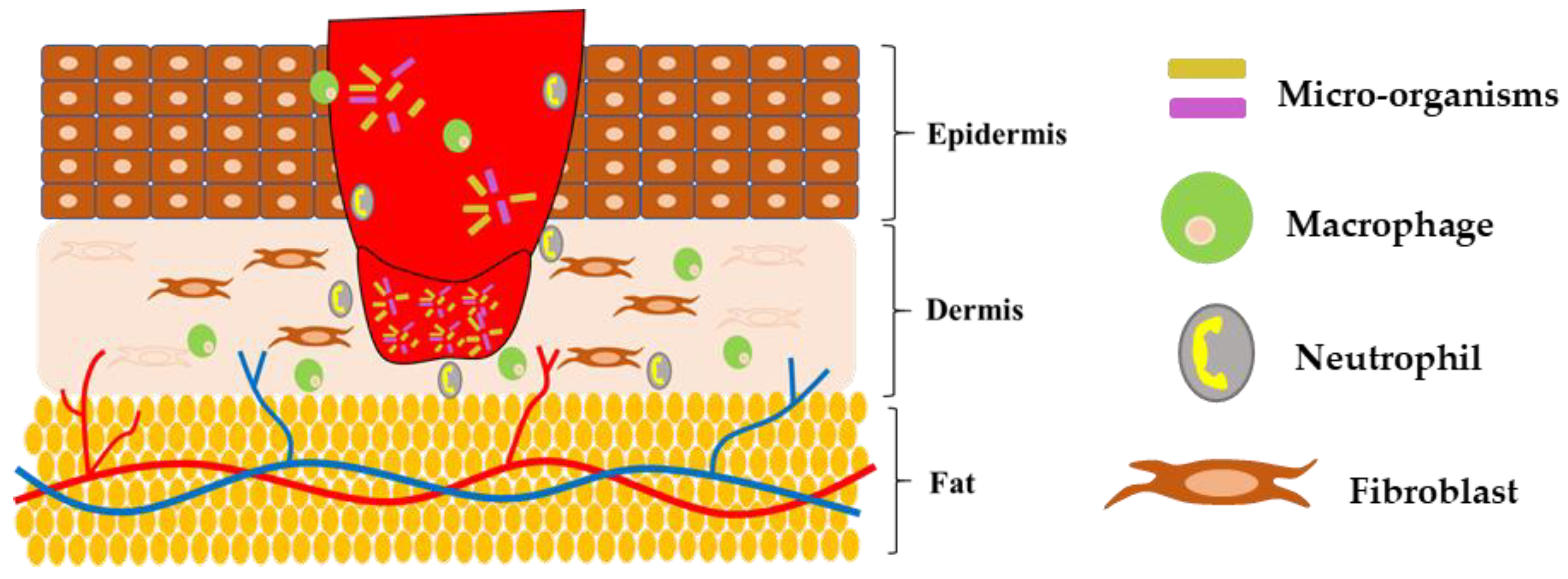 Polymers 15 01205 g003