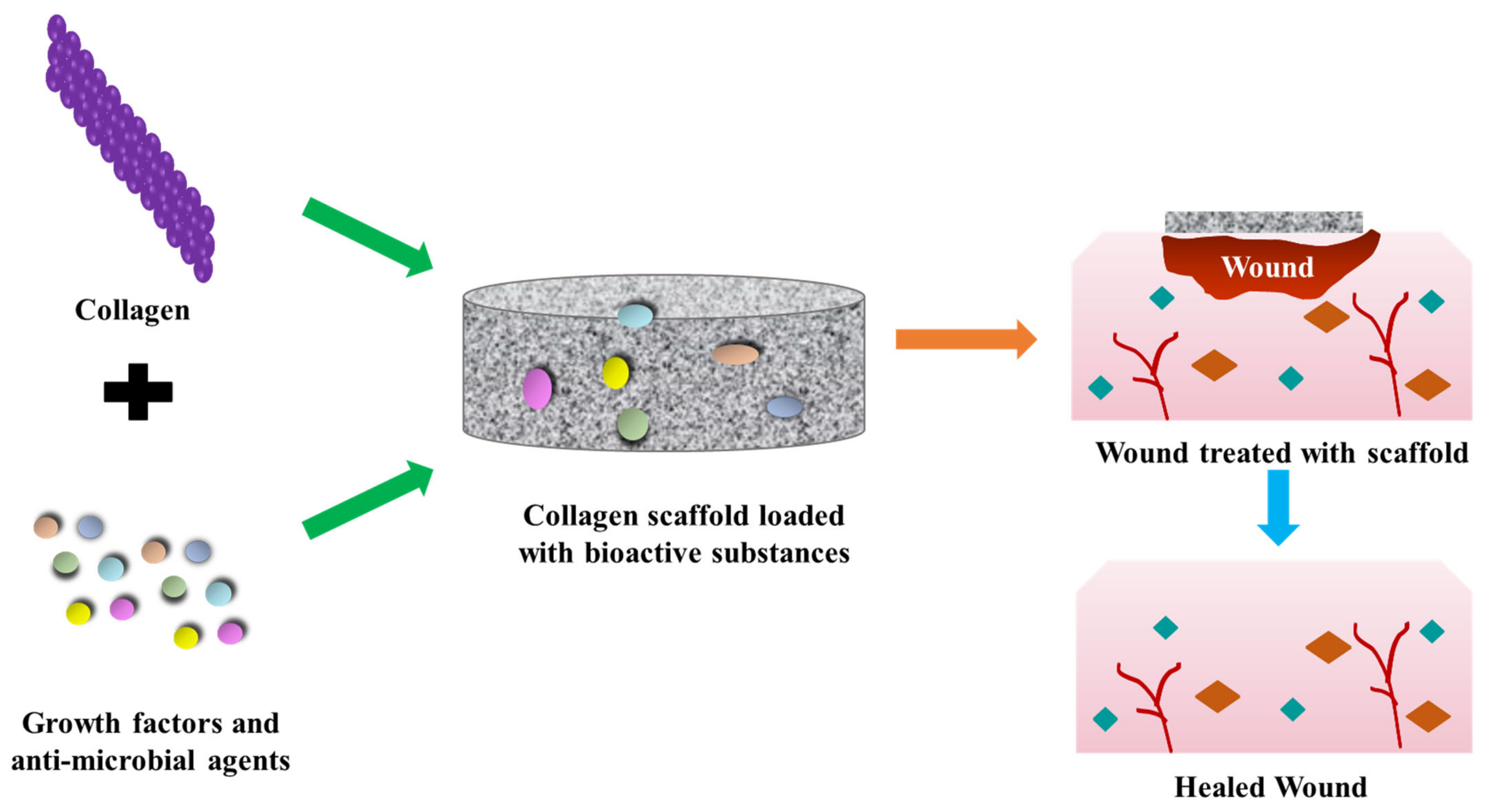 Polymers 15 01205 g005