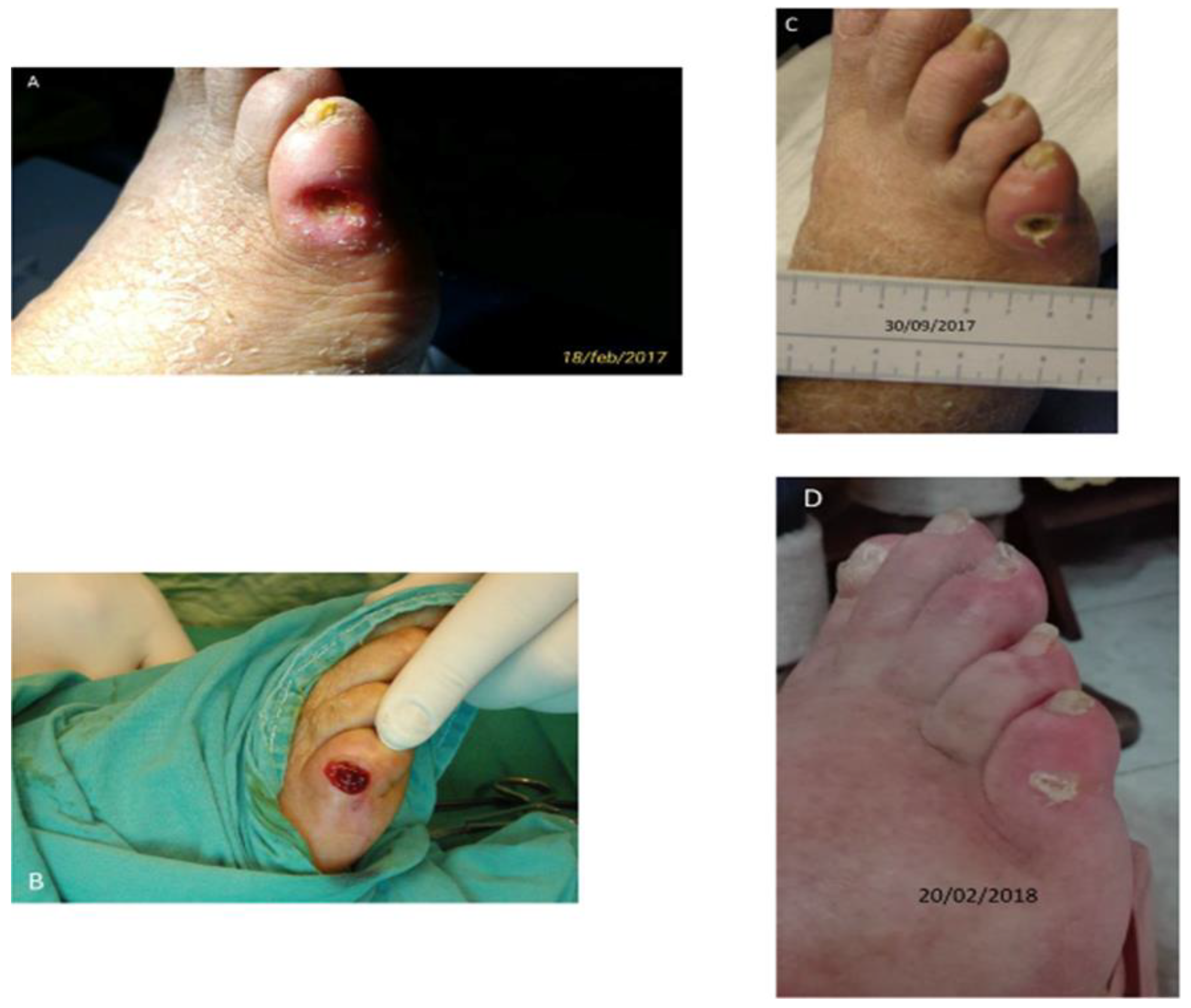 Polymers 15 01205 g007