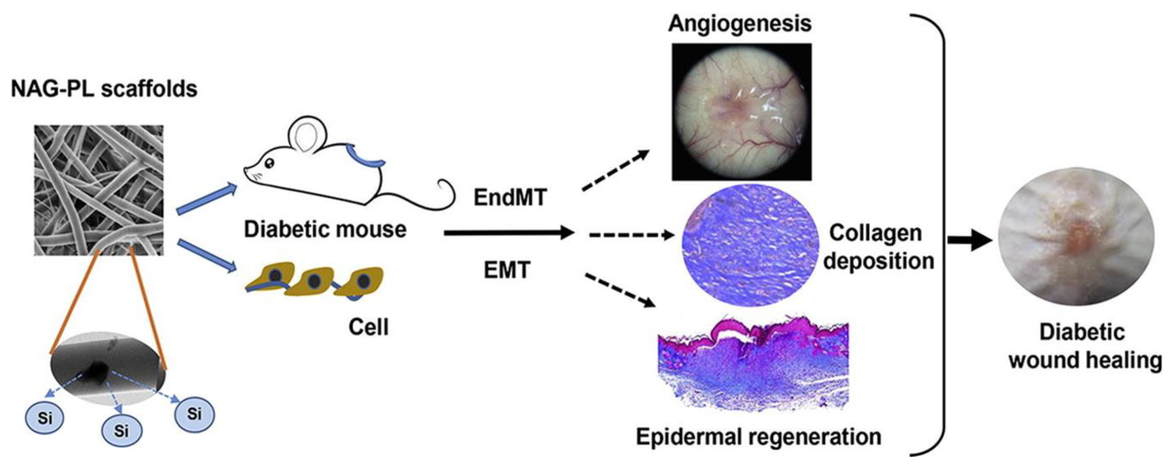 Polymers 15 01205 g009