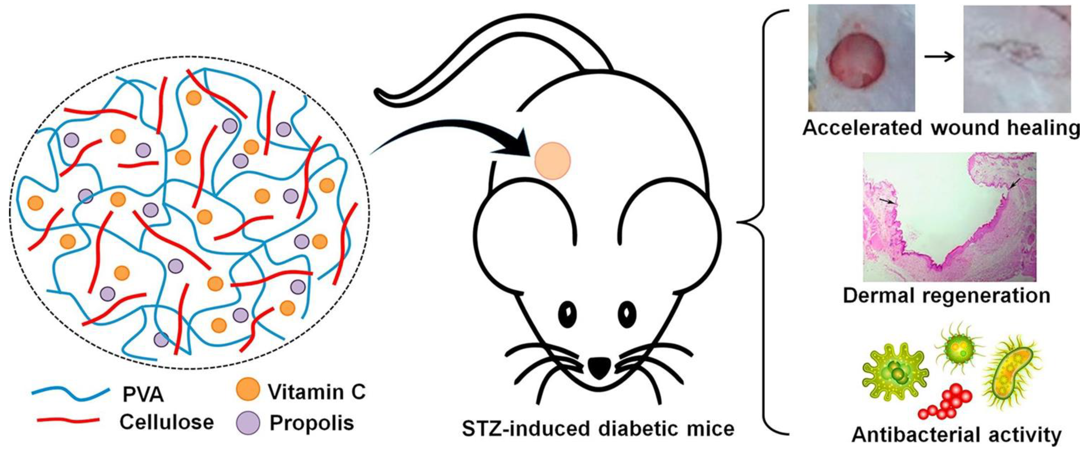 Polymers 15 01205 g010