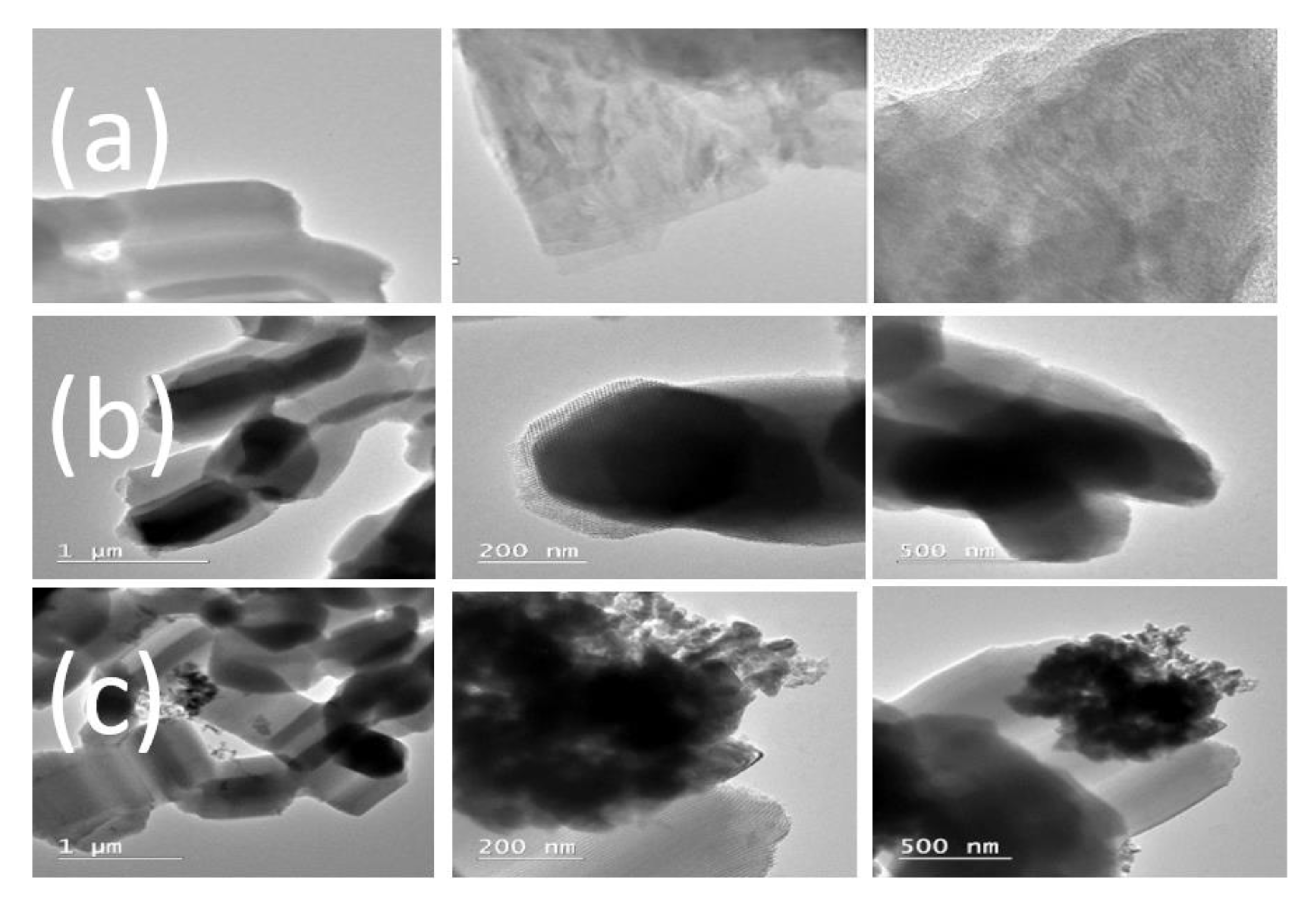 Polymers 15 01210 g002 Polymers 15 01210 g002
