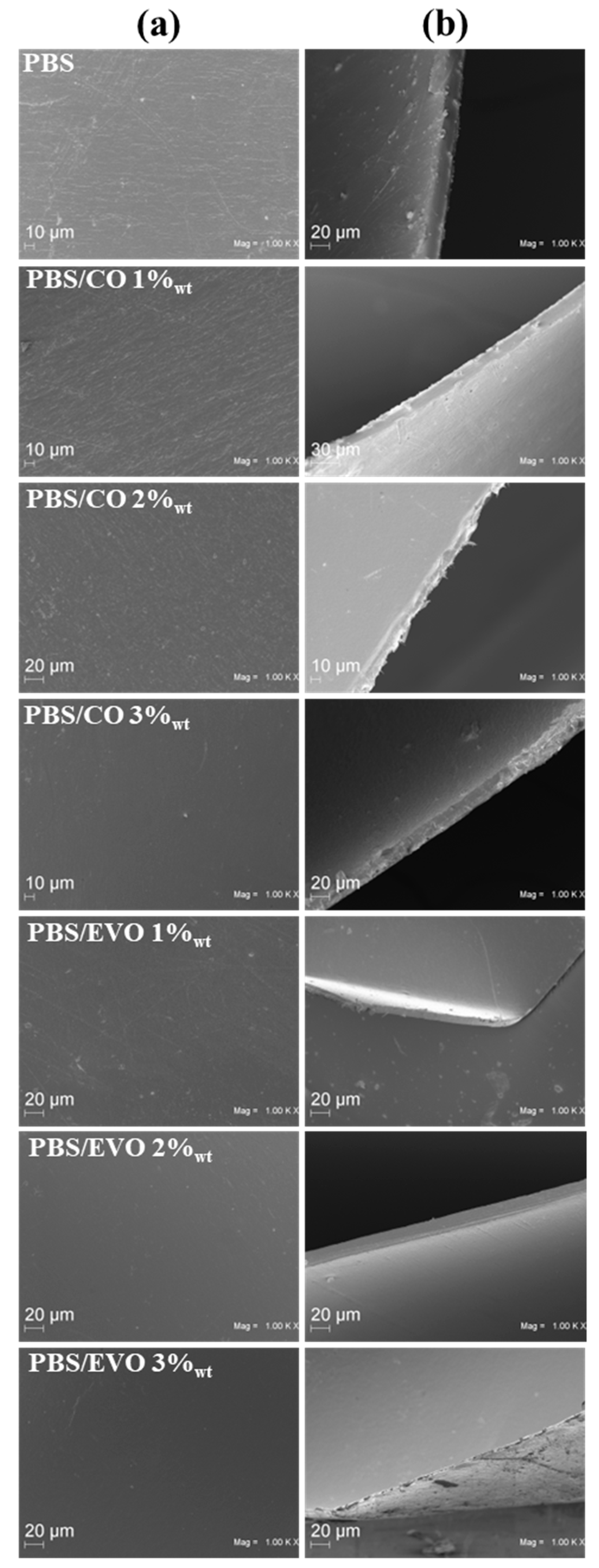 Polymers 15 01212 g005