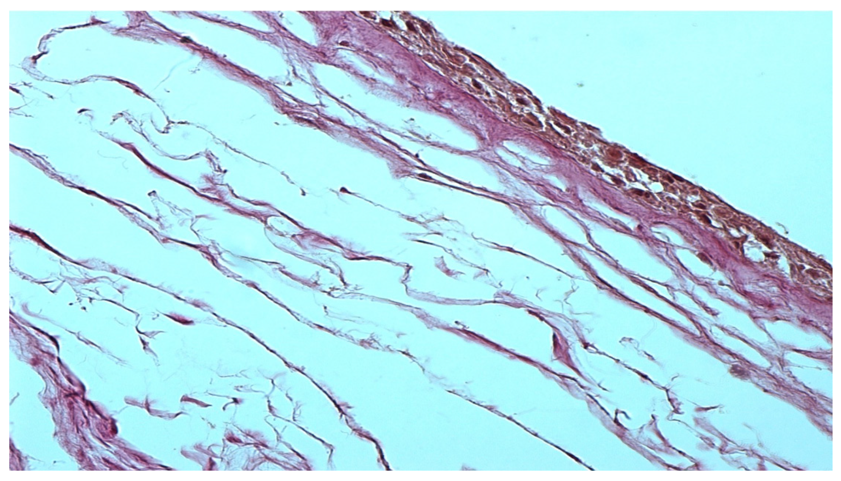 Polymers 15 01213 g001