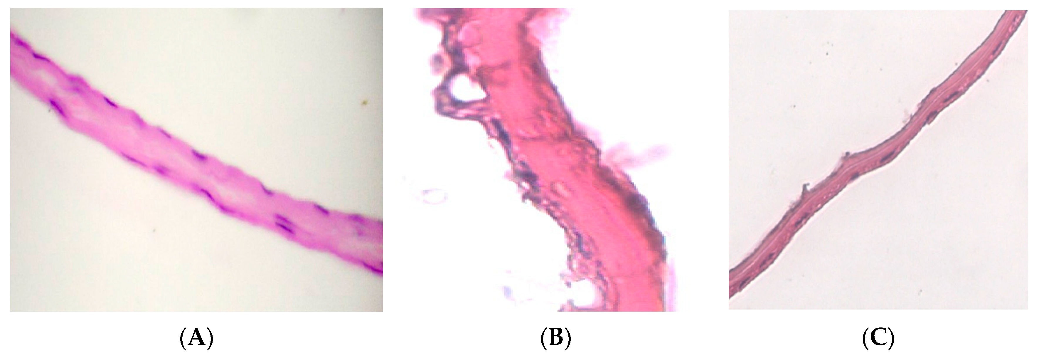 Polymers 15 01213 g002