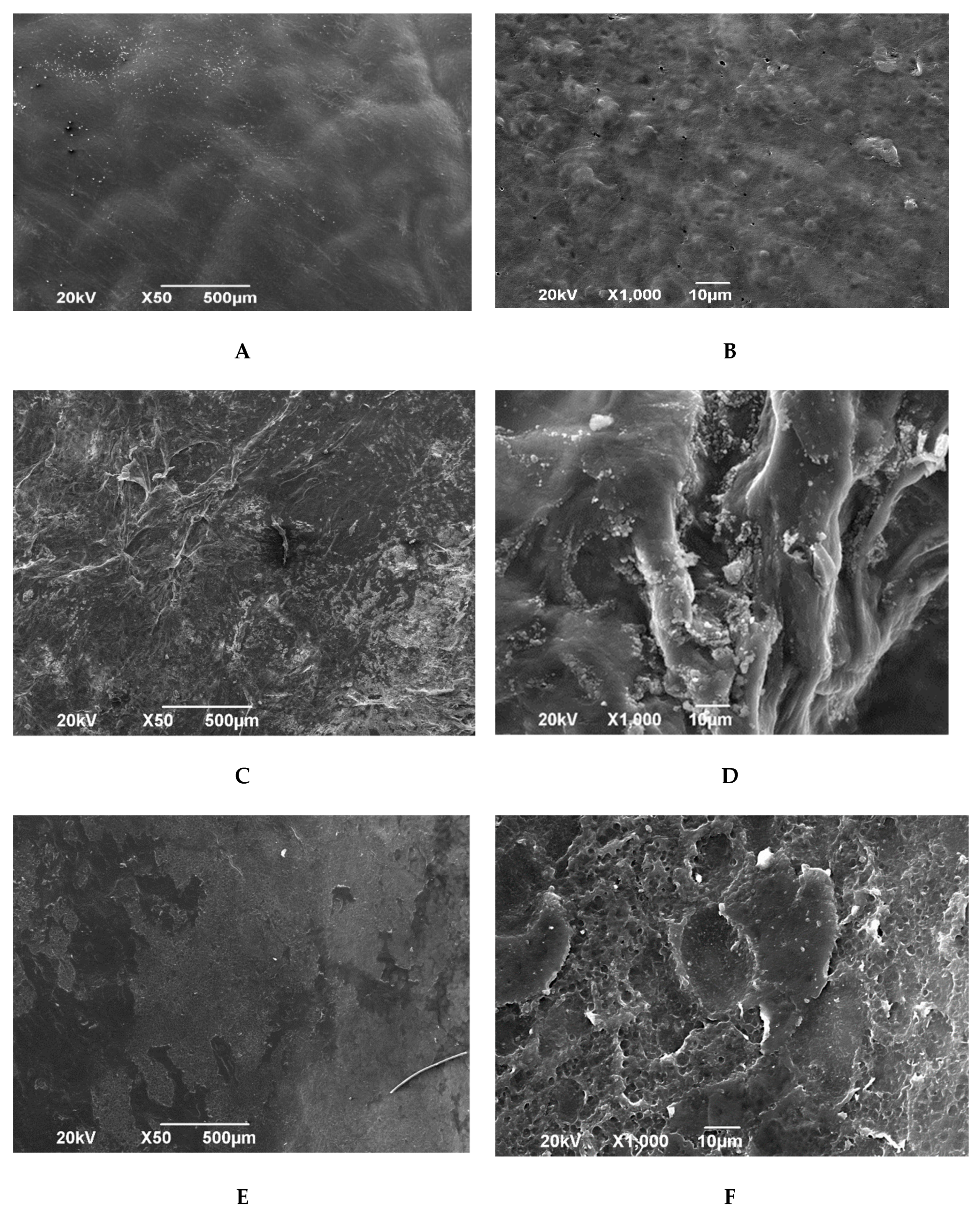 Polymers 15 01213 g003