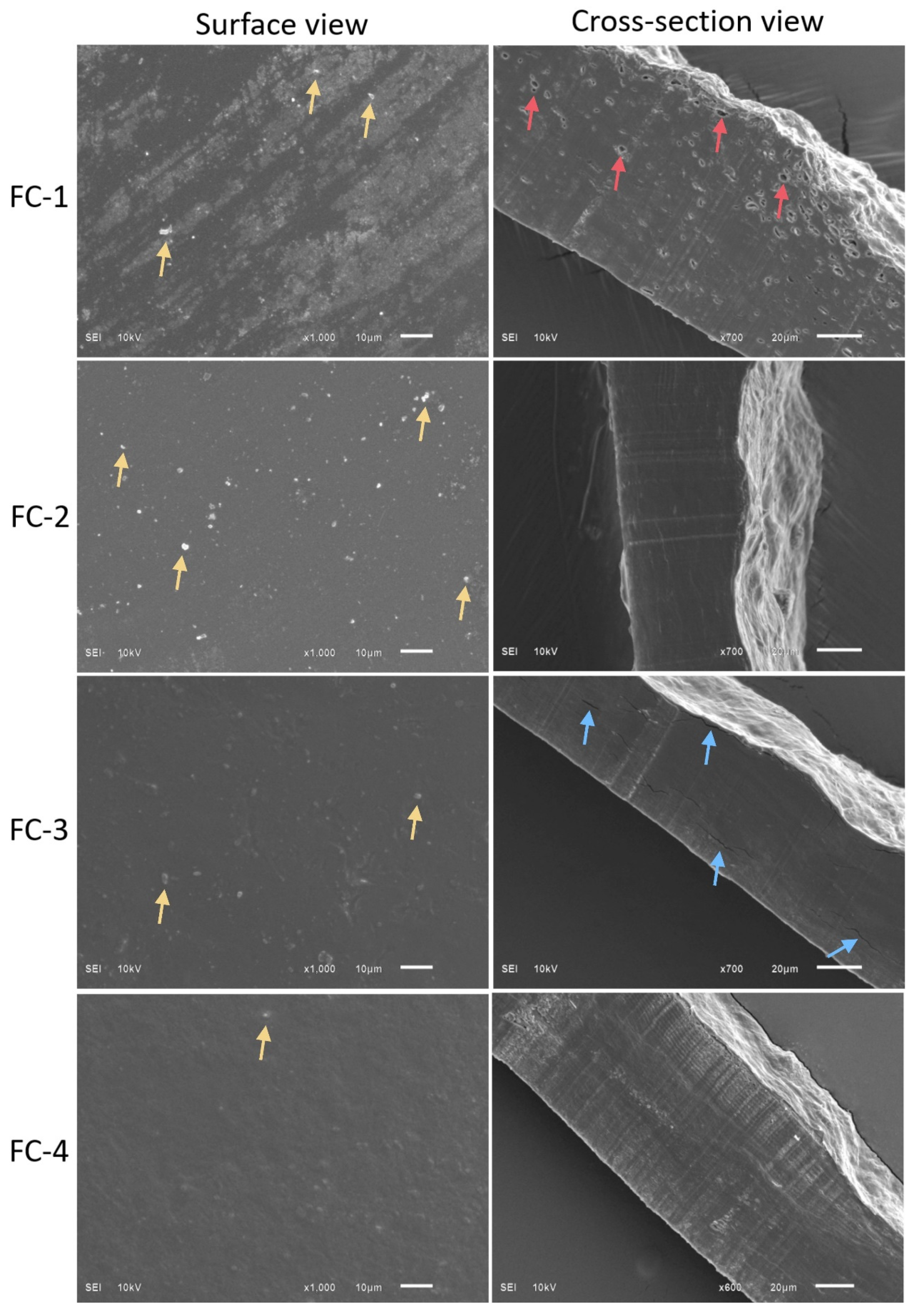 Polymers 15 01215 g004 Polymers 15 01215 g004