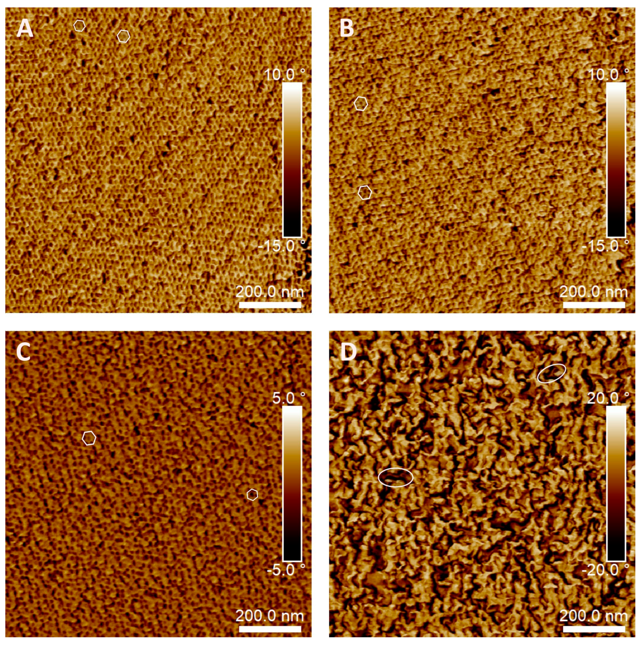 Polymers 15 01216 g006 Polymers 15 01216 g006