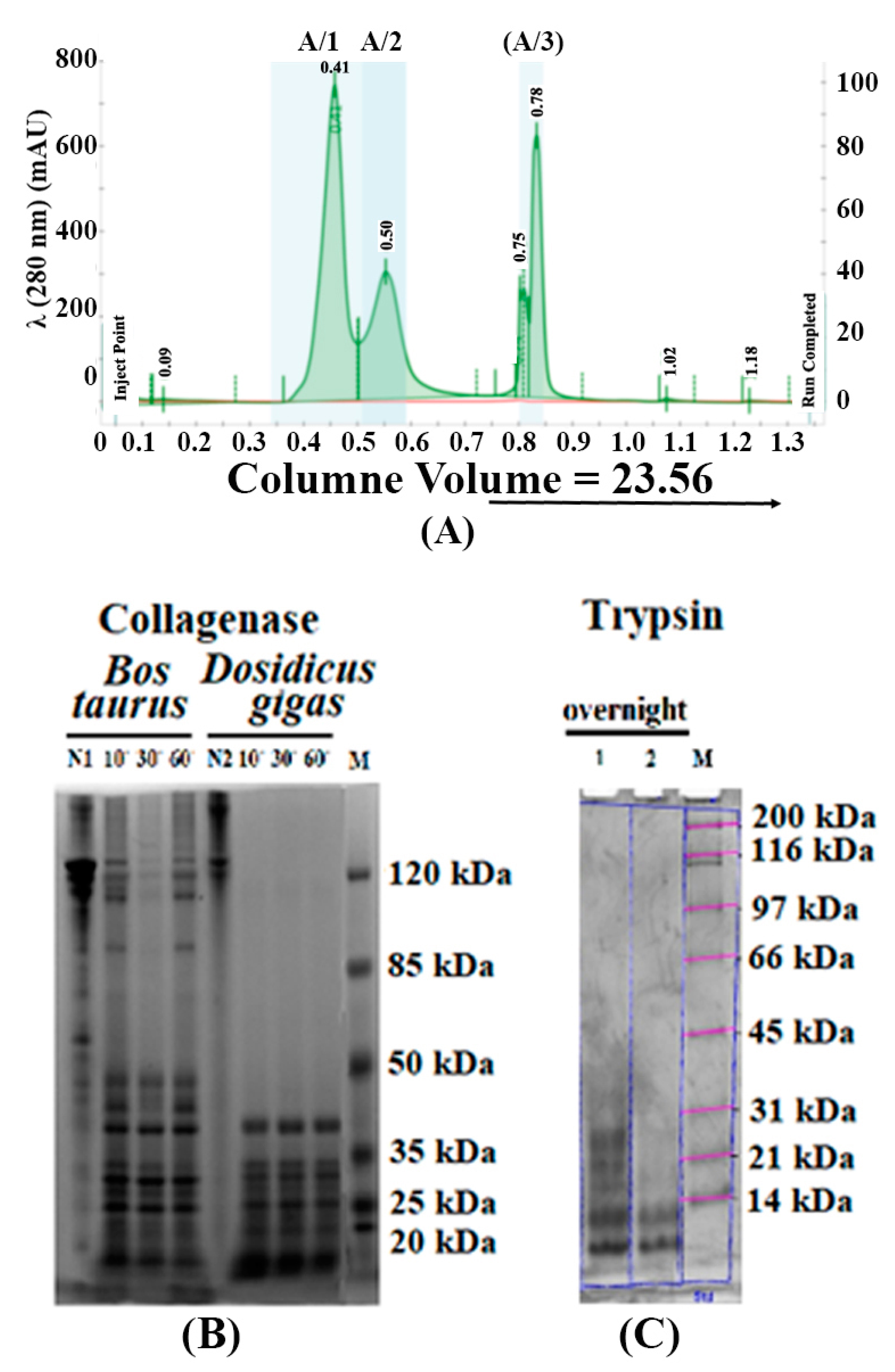 Polymers 15 01220 g003 Polymers 15 01220 g003