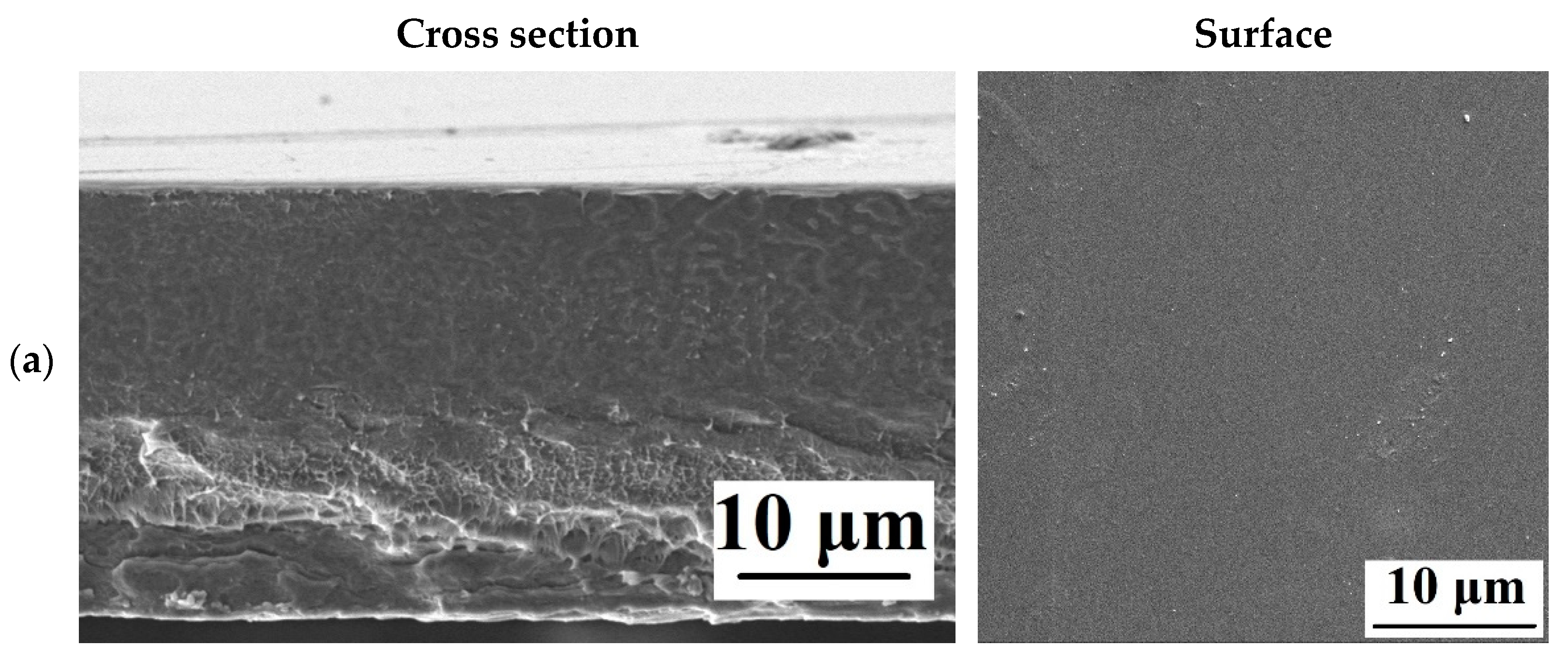 Polymers 15 01222 g009a Polymers 15 01222 g009a