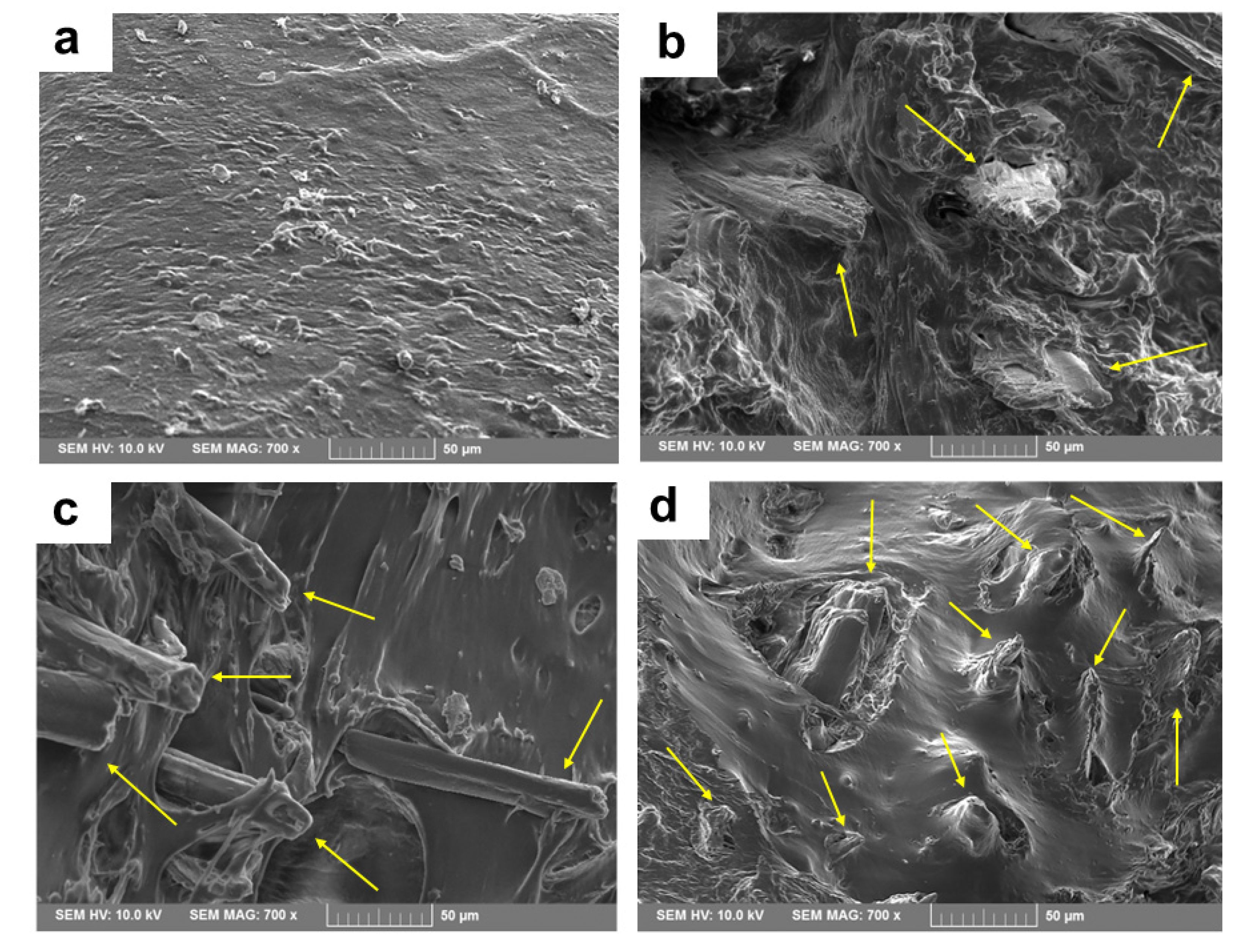 Polymers 15 01225 g006 Polymers 15 01225 g006