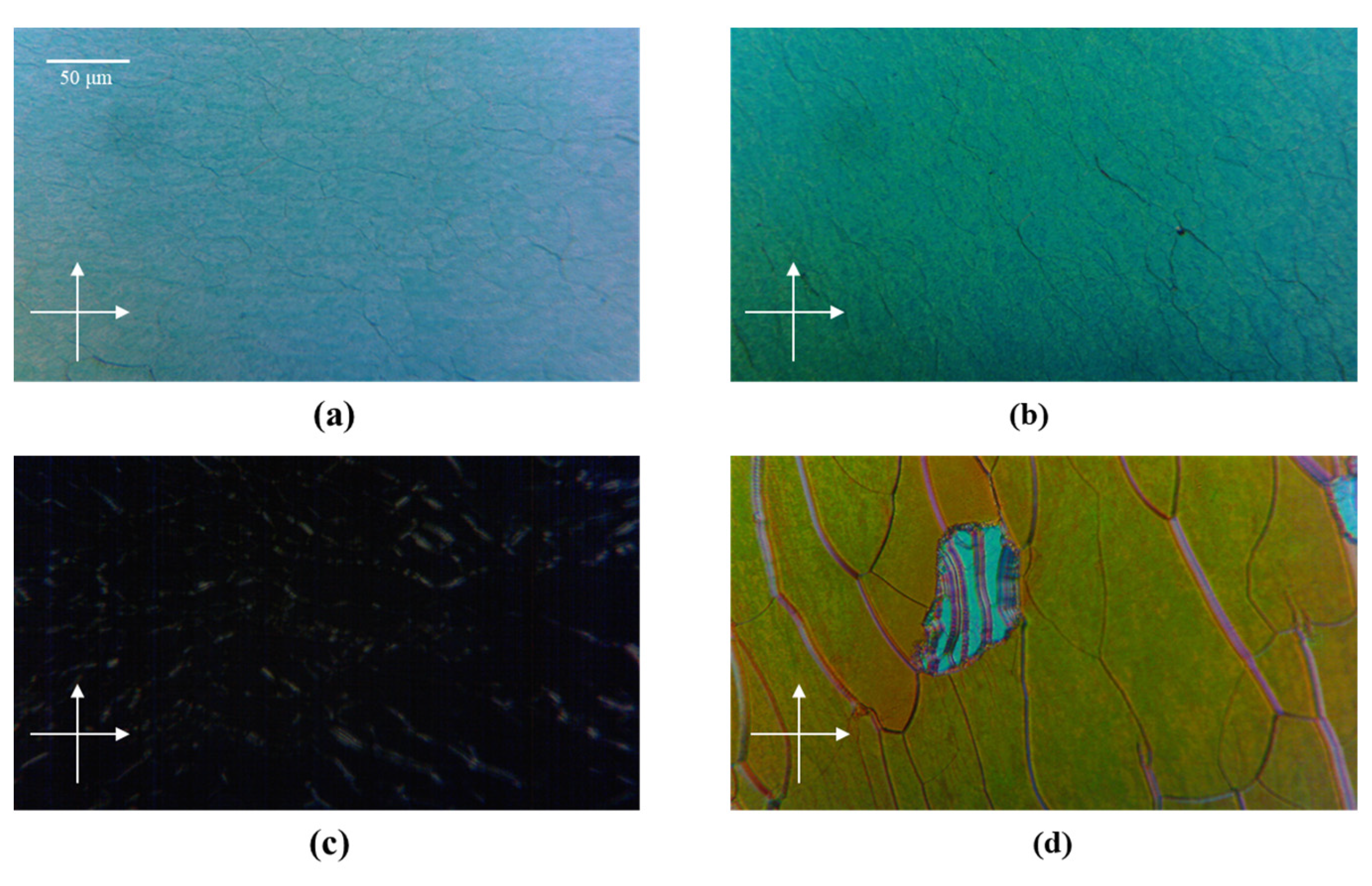 Polymers 15 01226 g003 Polymers 15 01226 g003