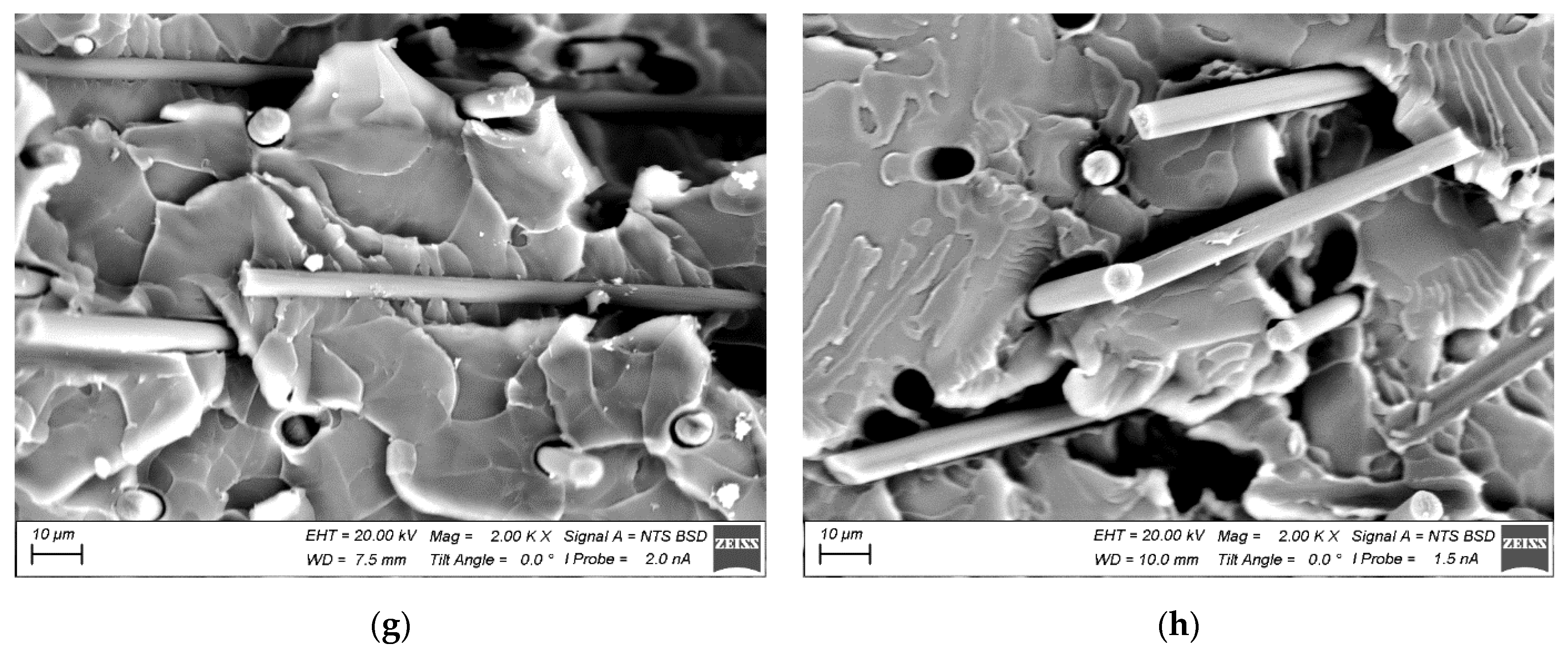 Polymers 15 01228 g002b Polymers 15 01228 g002b