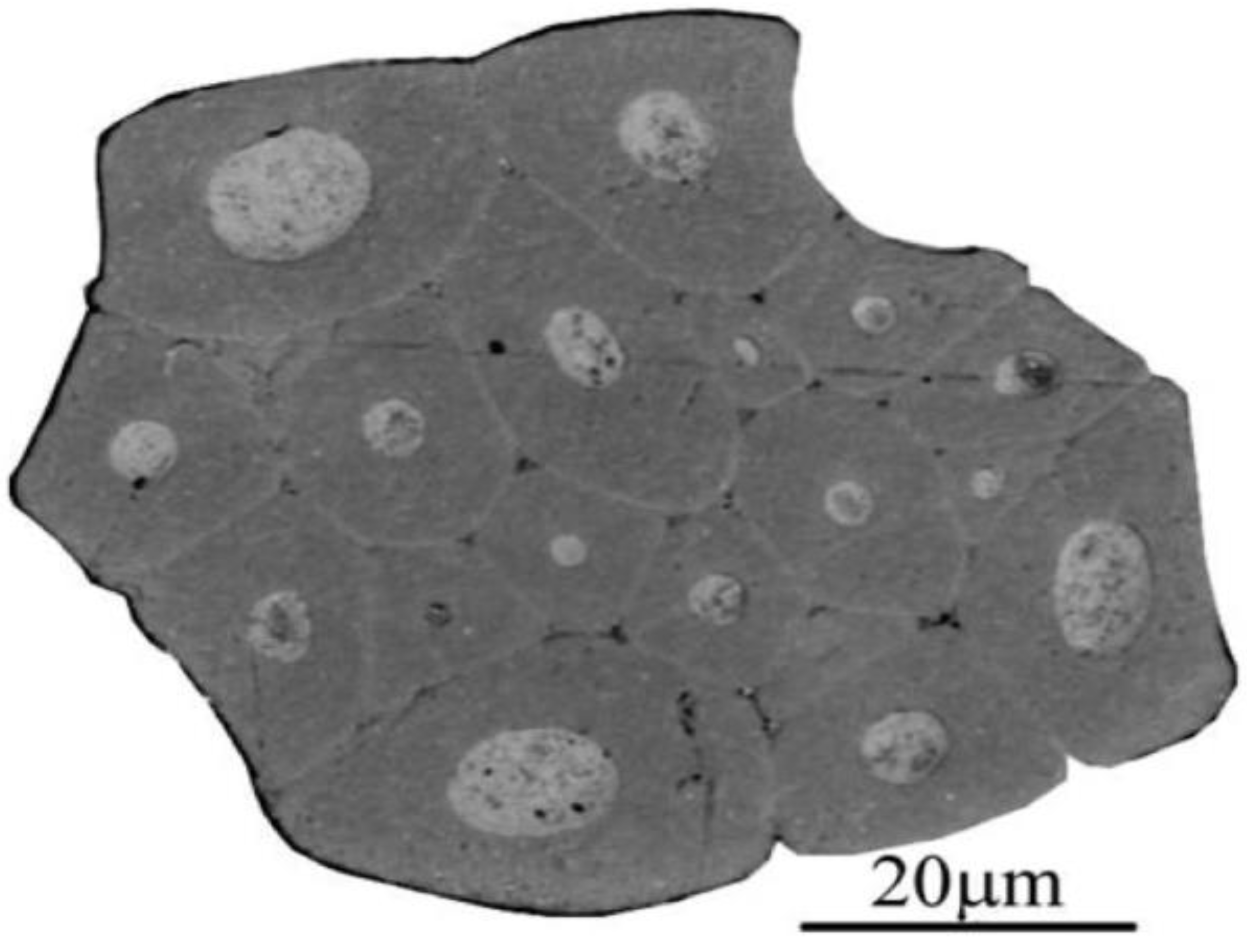Polymers 15 01229 g002