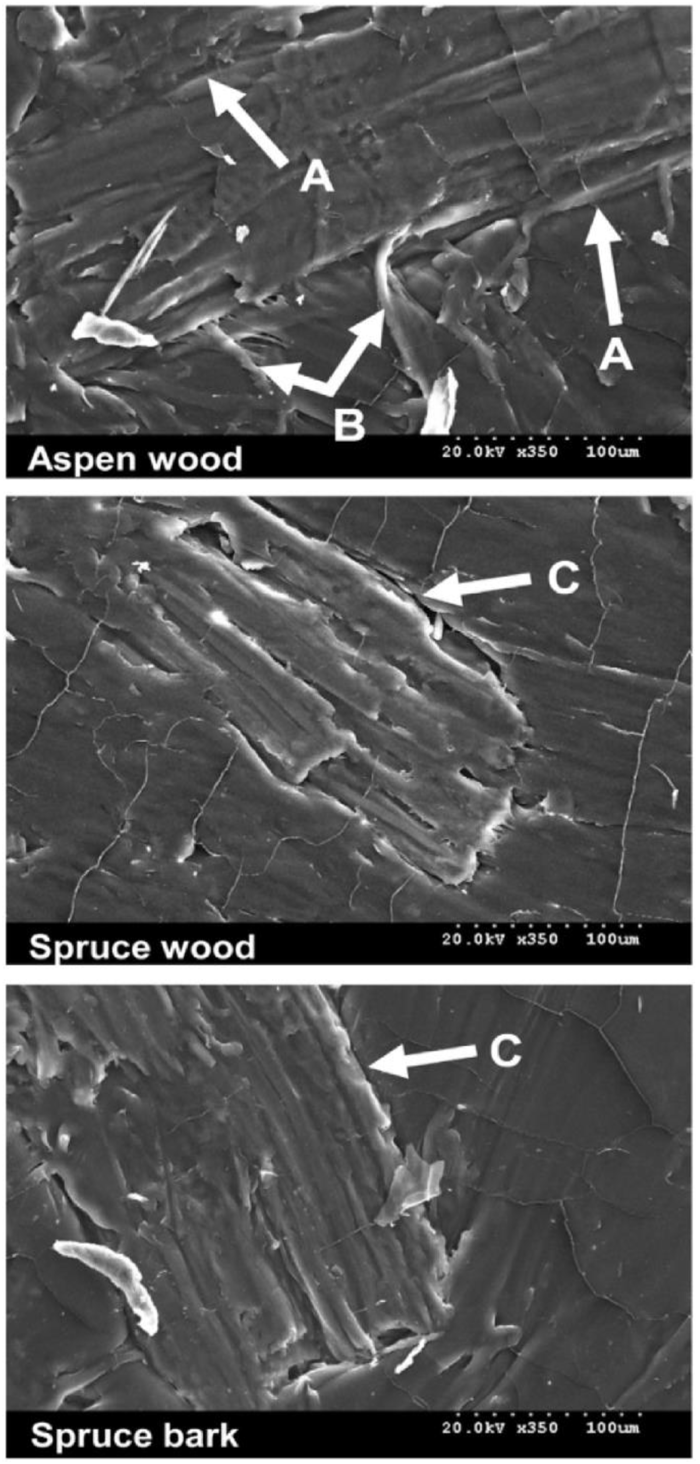Polymers 15 01229 g004