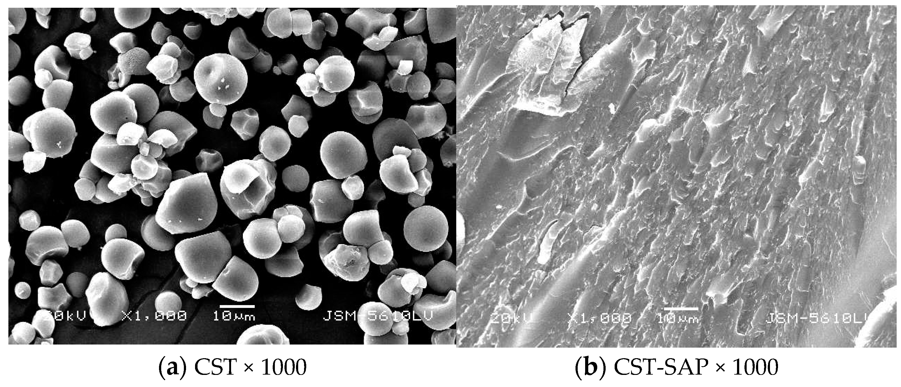 Polymers 15 01233 g003a Polymers 15 01233 g003a