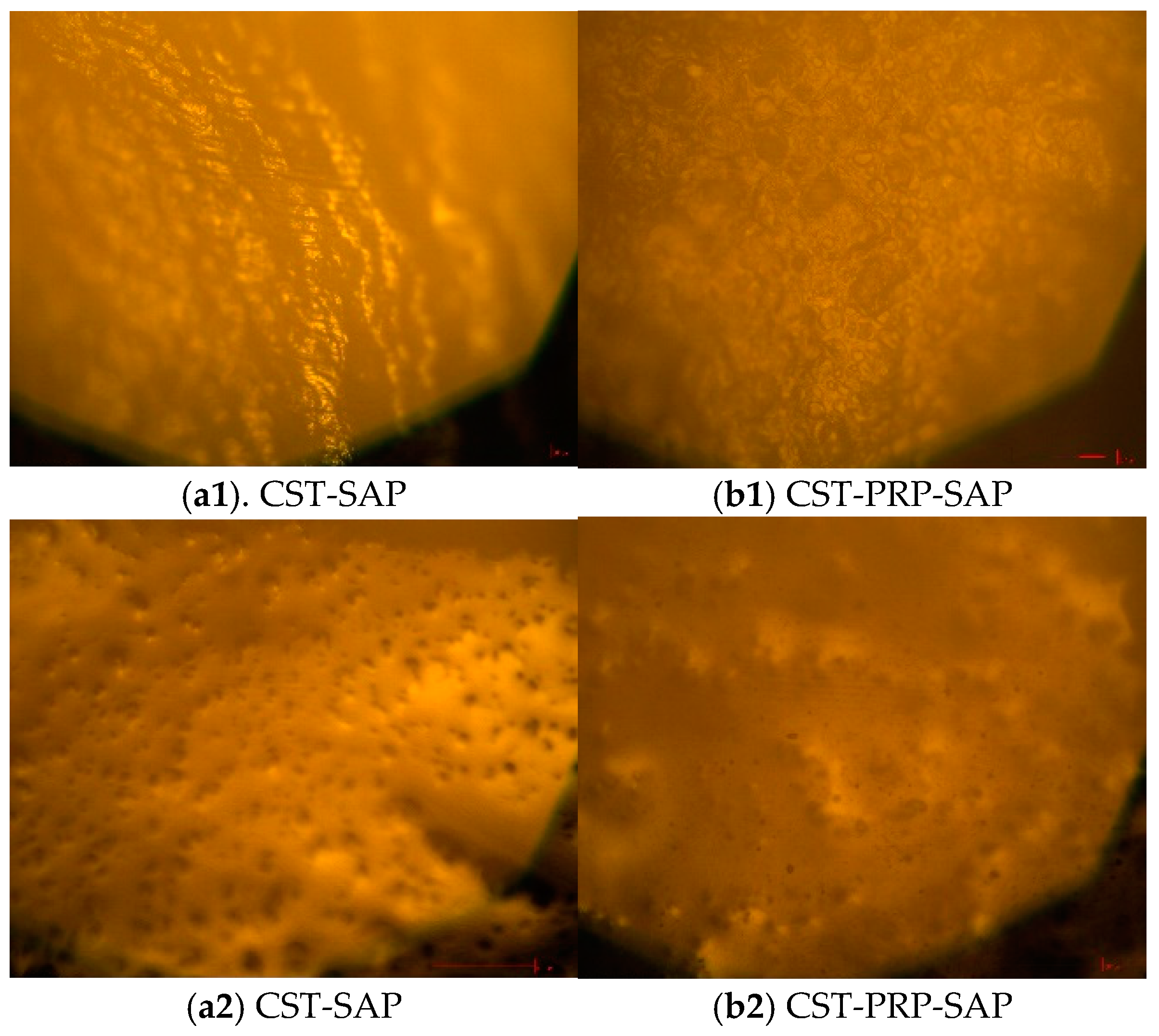 Polymers 15 01233 g004 Polymers 15 01233 g004