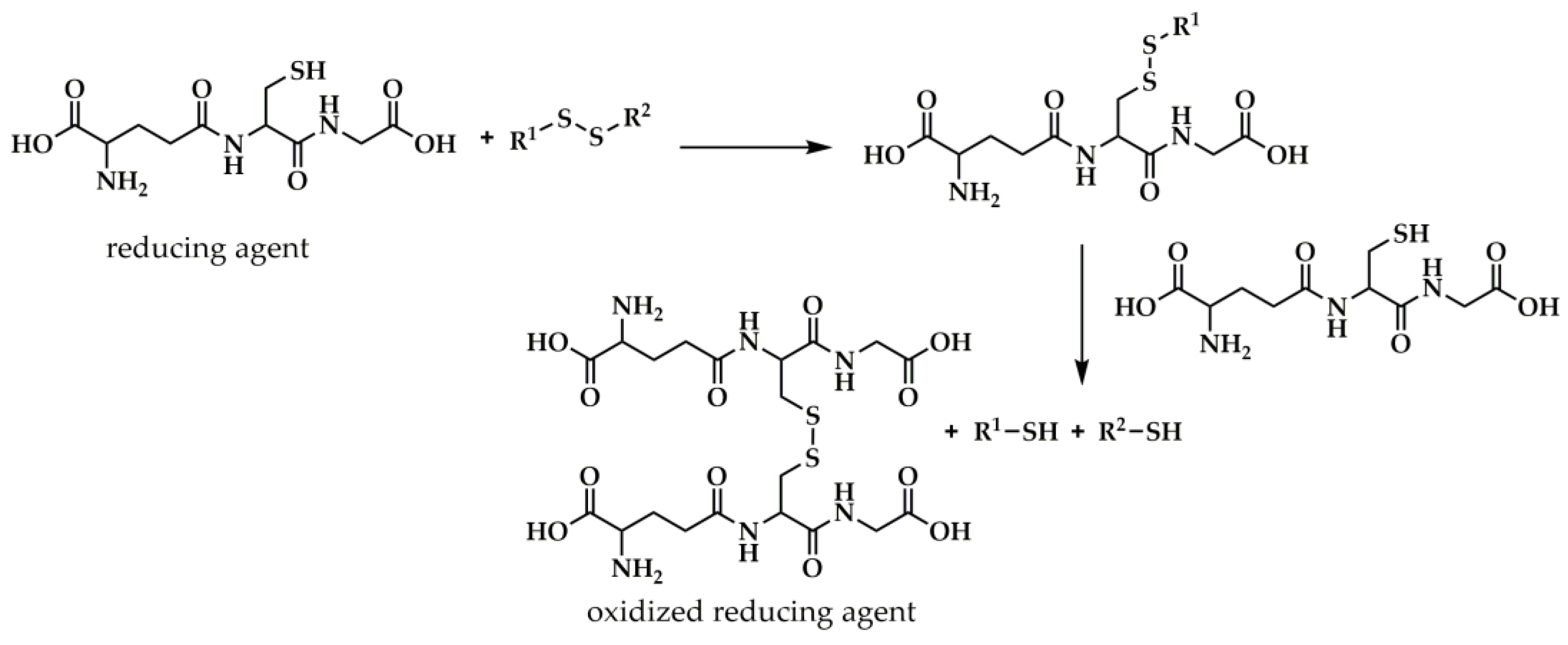 Polymers 15 01234 g008