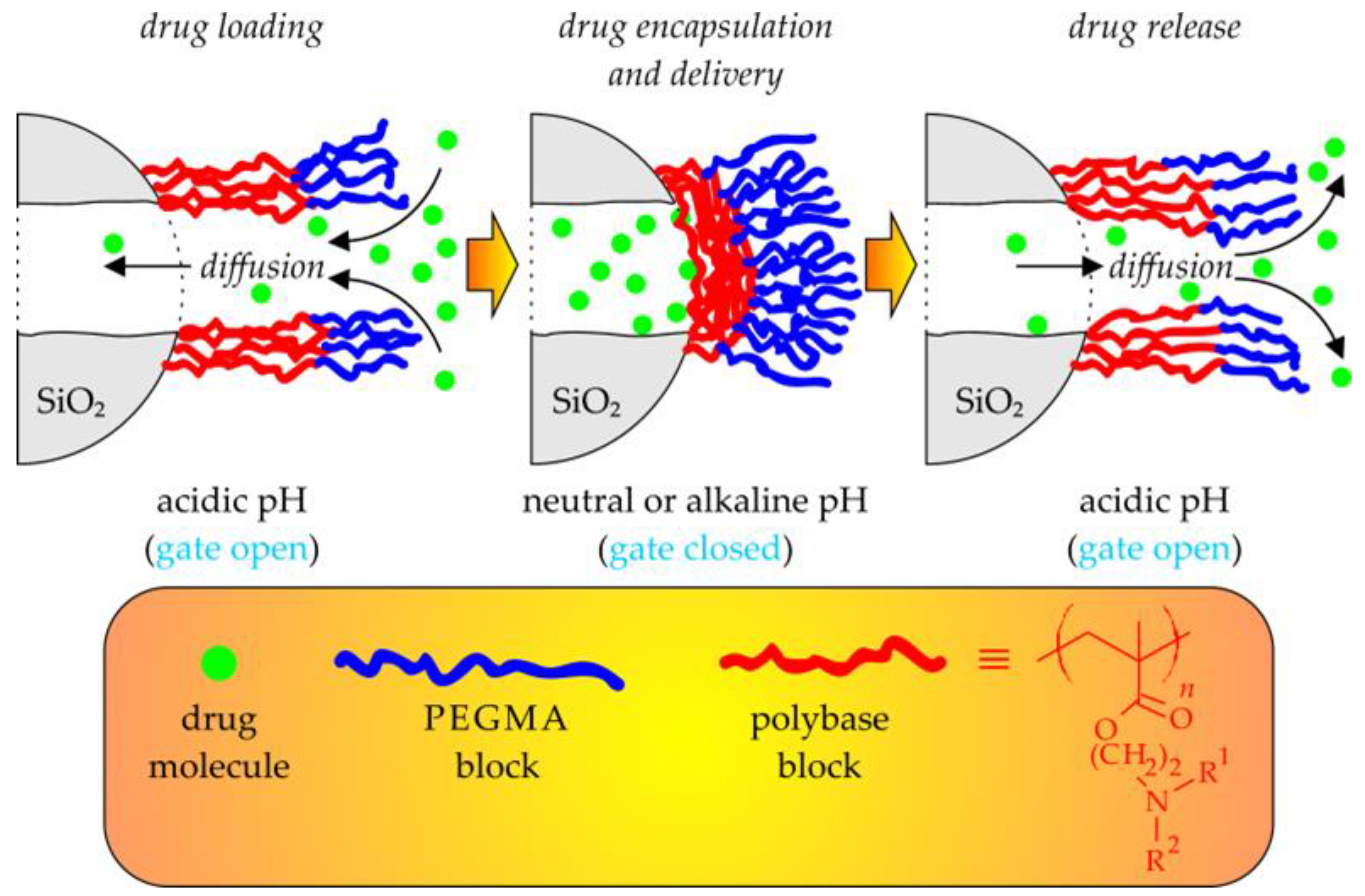 Polymers 15 01234 g011