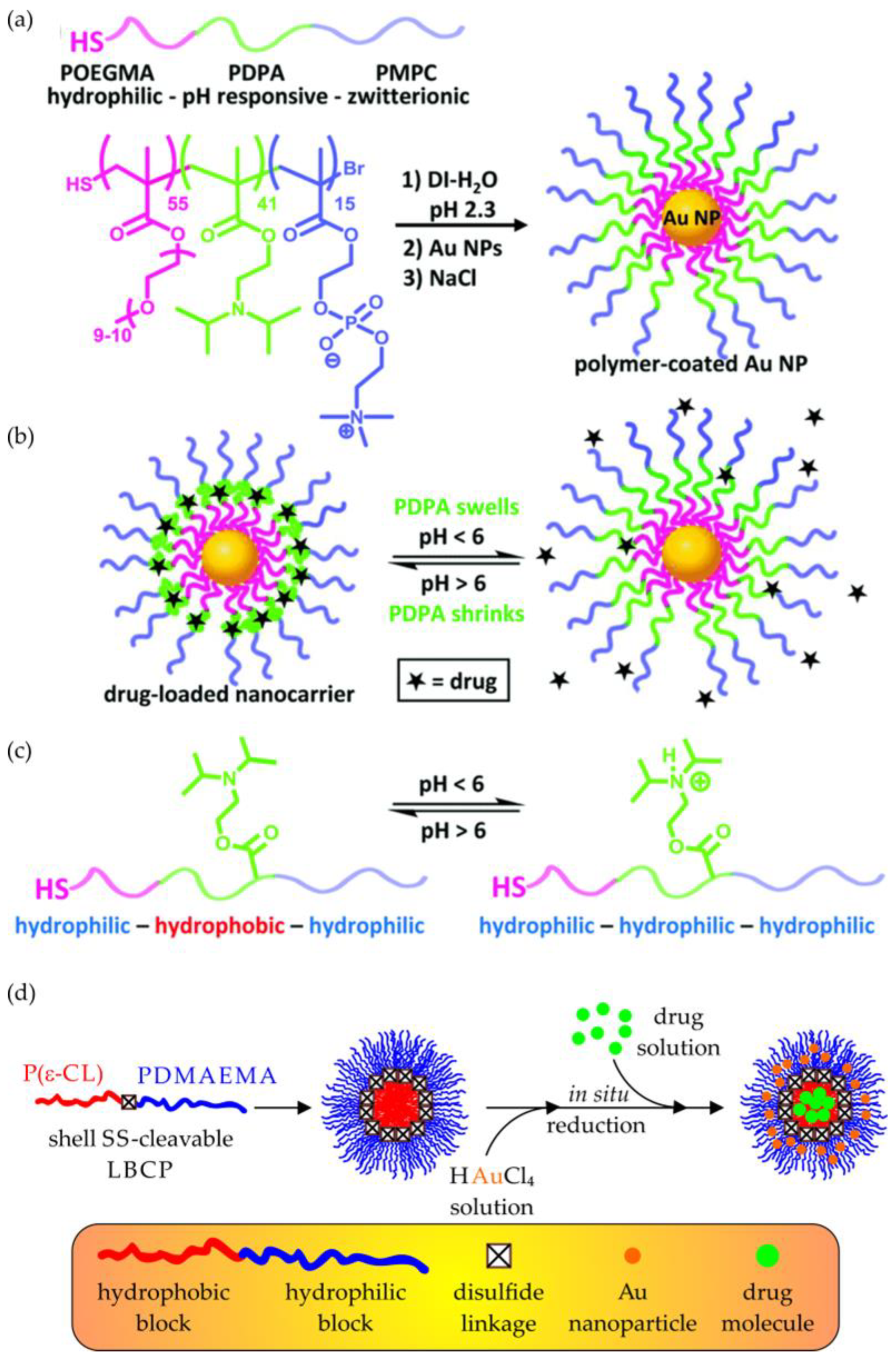 Polymers 15 01234 g012