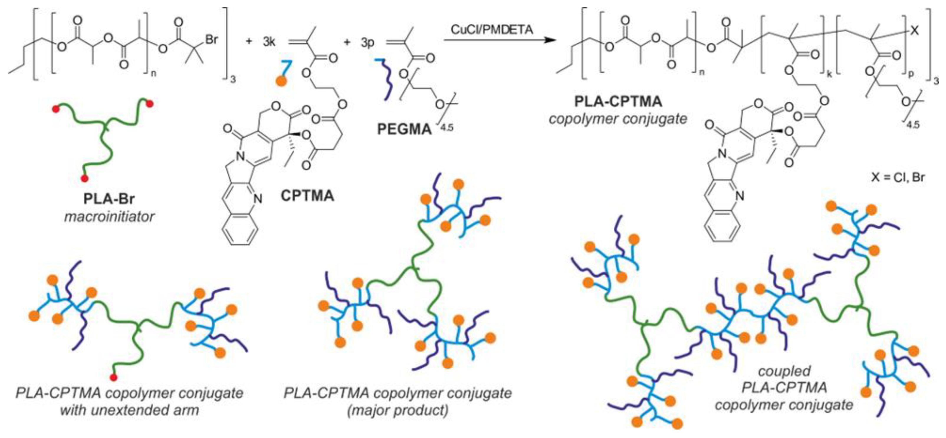 Polymers 15 01234 g015