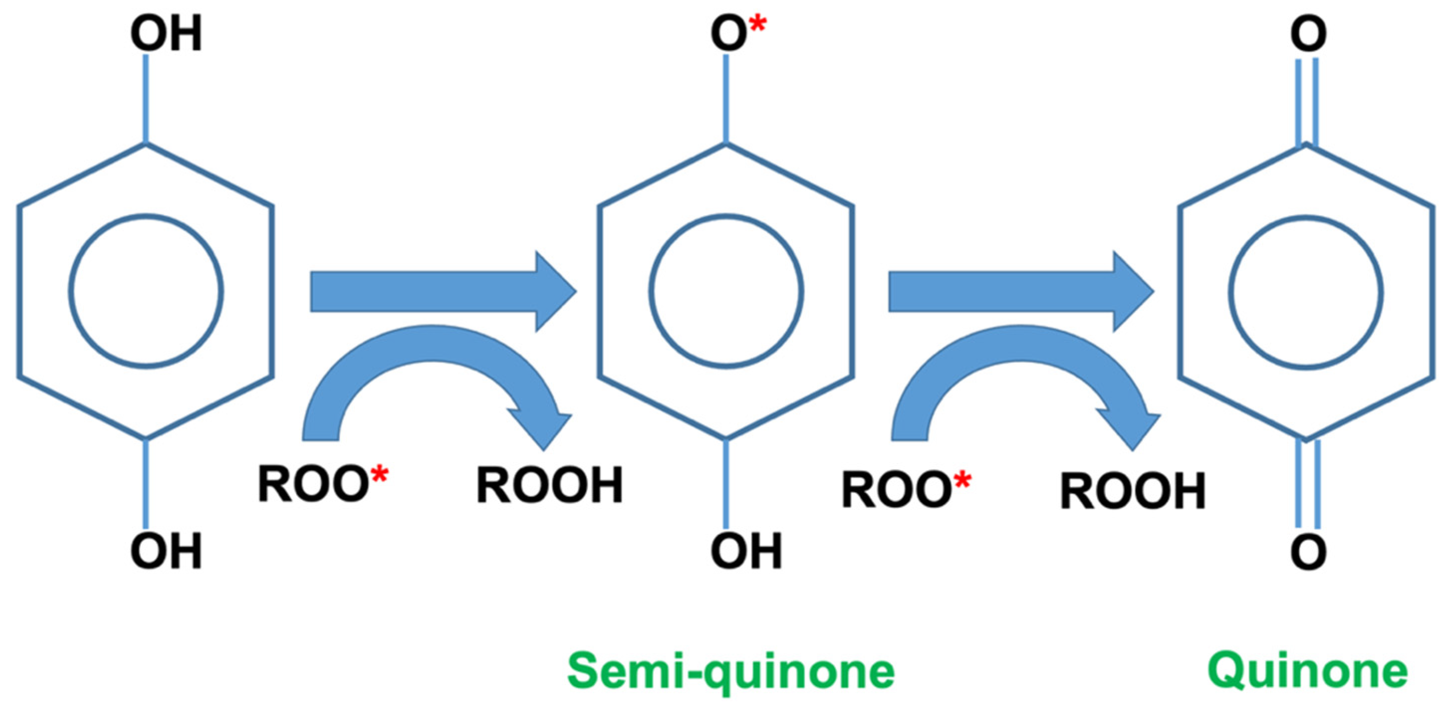 Polymers 15 01237 g006