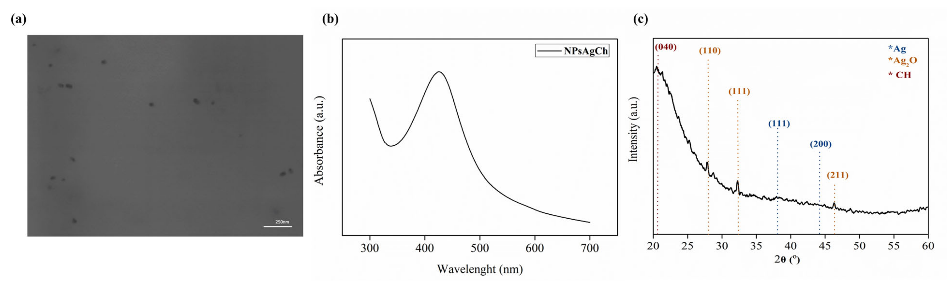 Polymers 15 01240 g001 Polymers 15 01240 g001