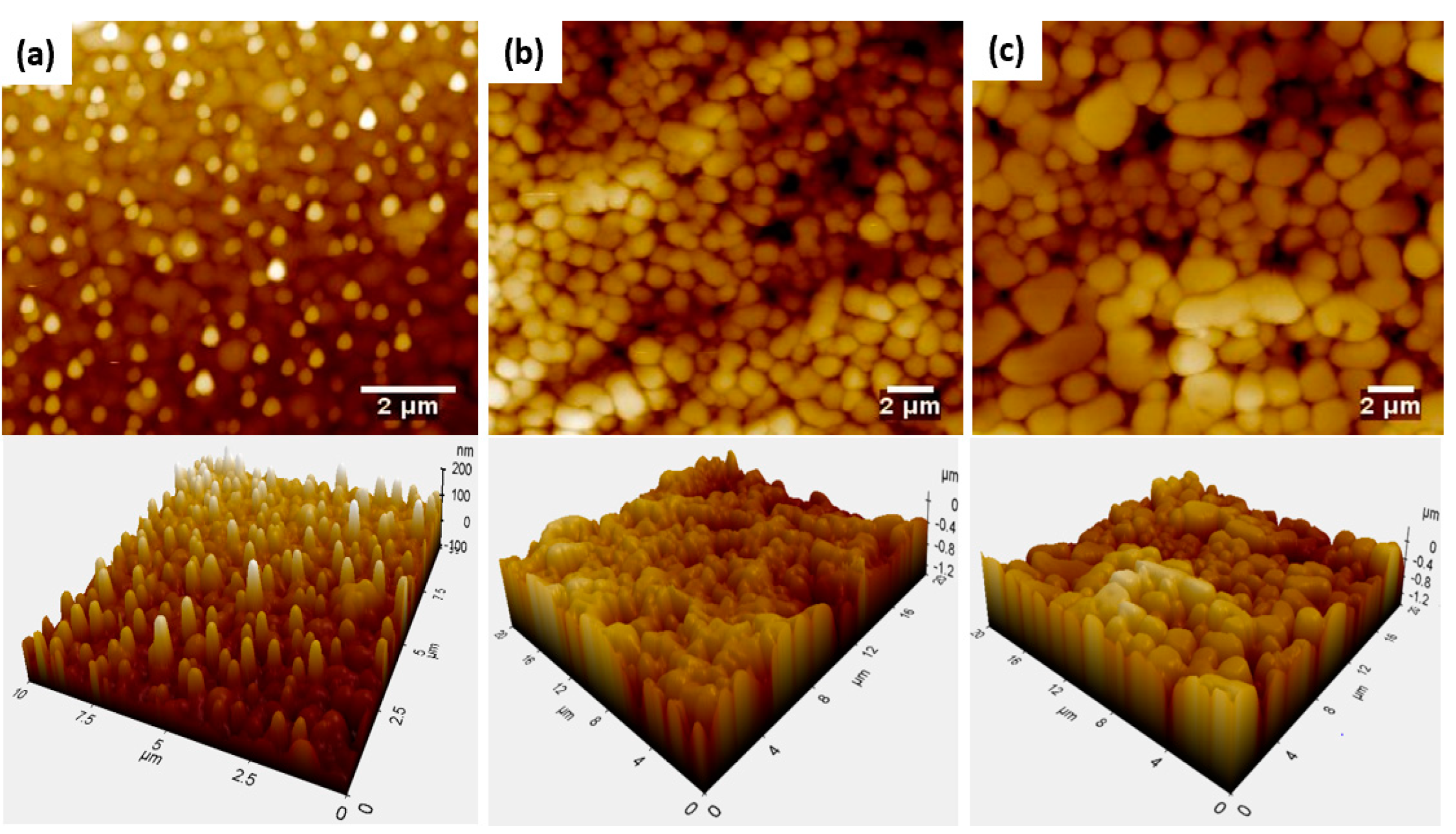 Polymers 15 01242 g004