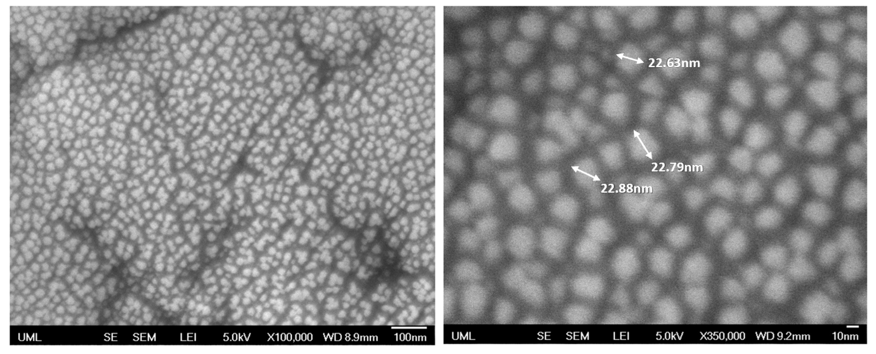 Polymers 15 01242 g007