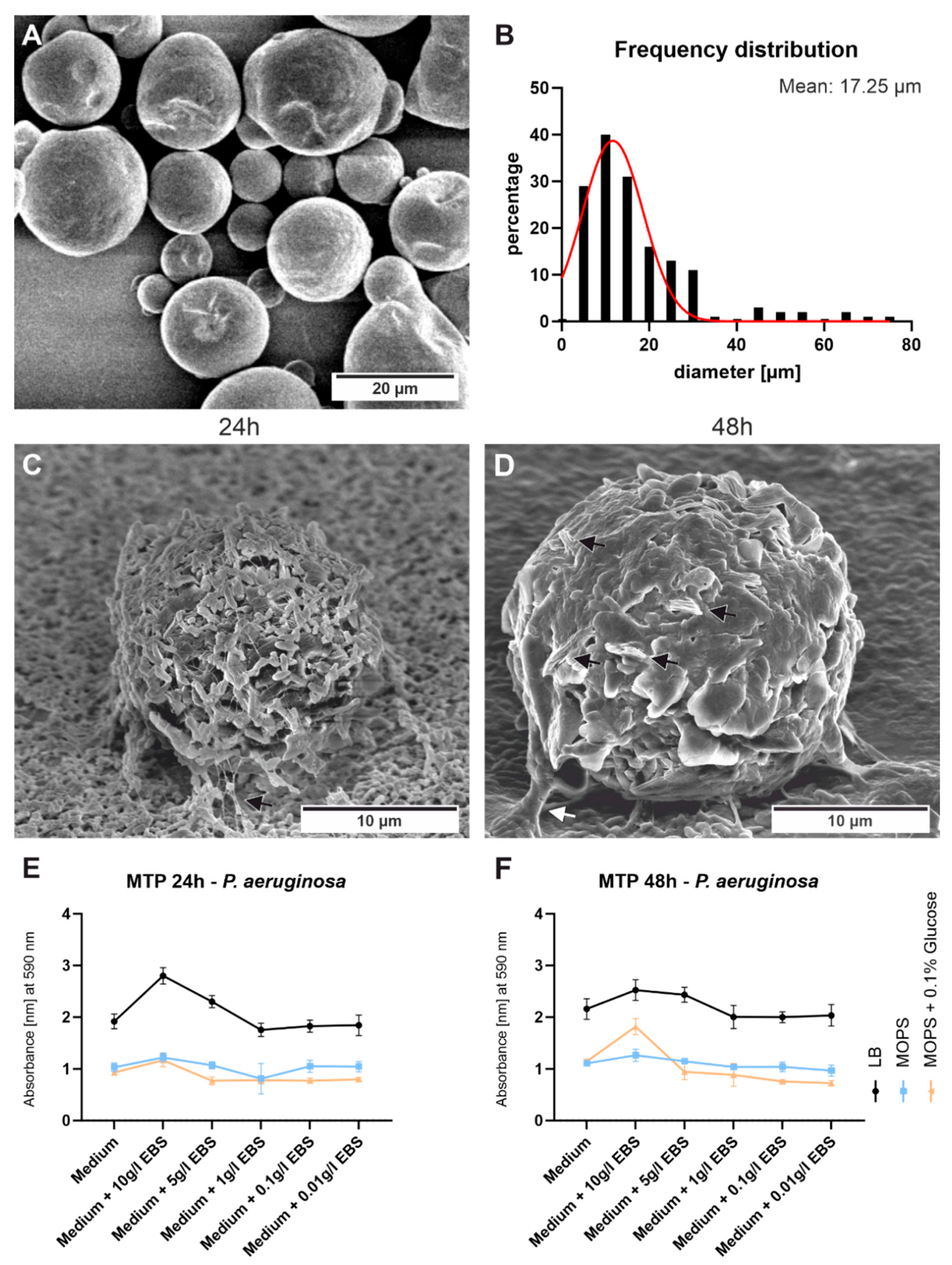 Polymers 15 01247 g006