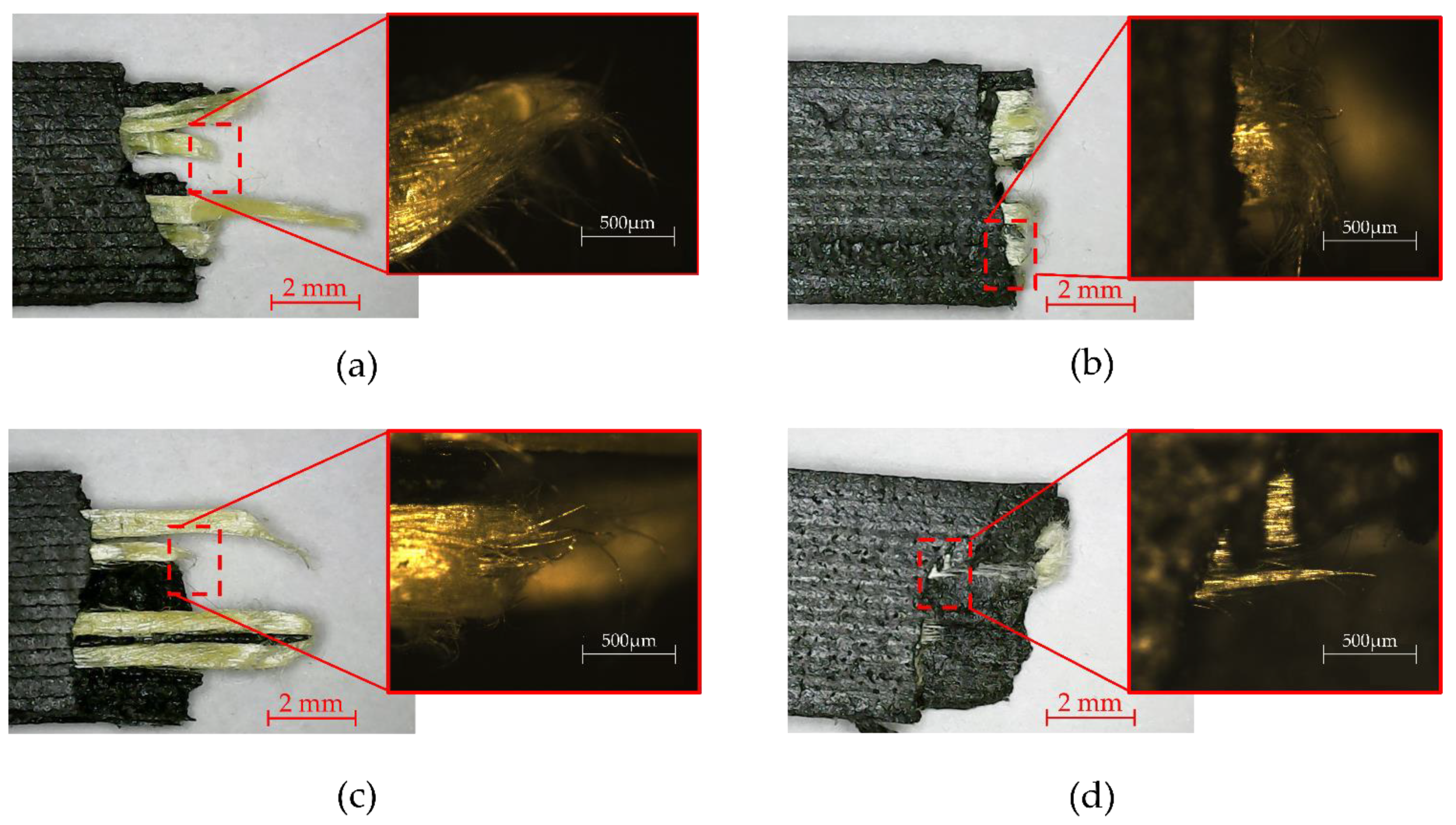 Polymers 15 01252 g007