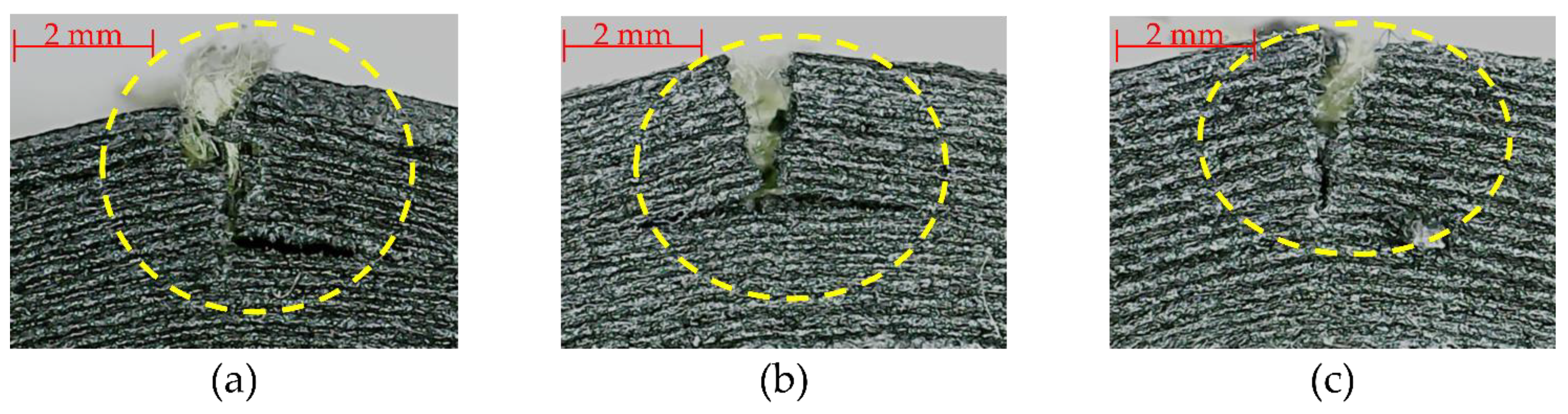 Polymers 15 01252 g008