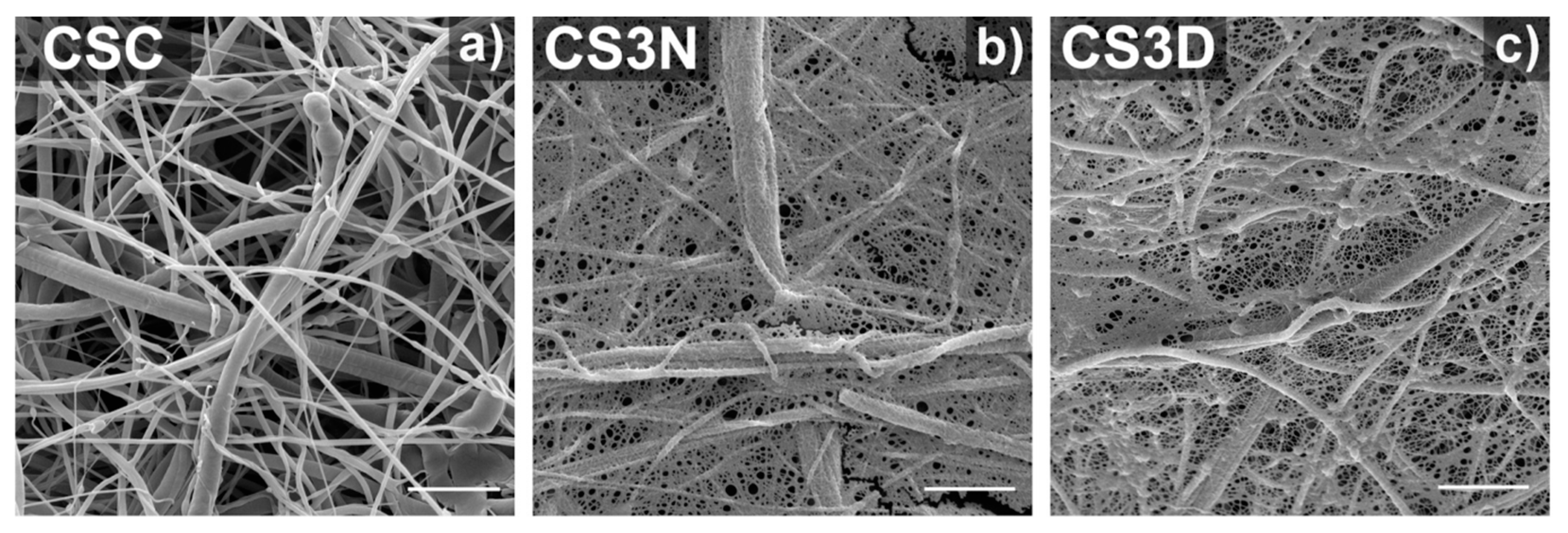 Polymers 15 01253 g008 Polymers 15 01253 g008