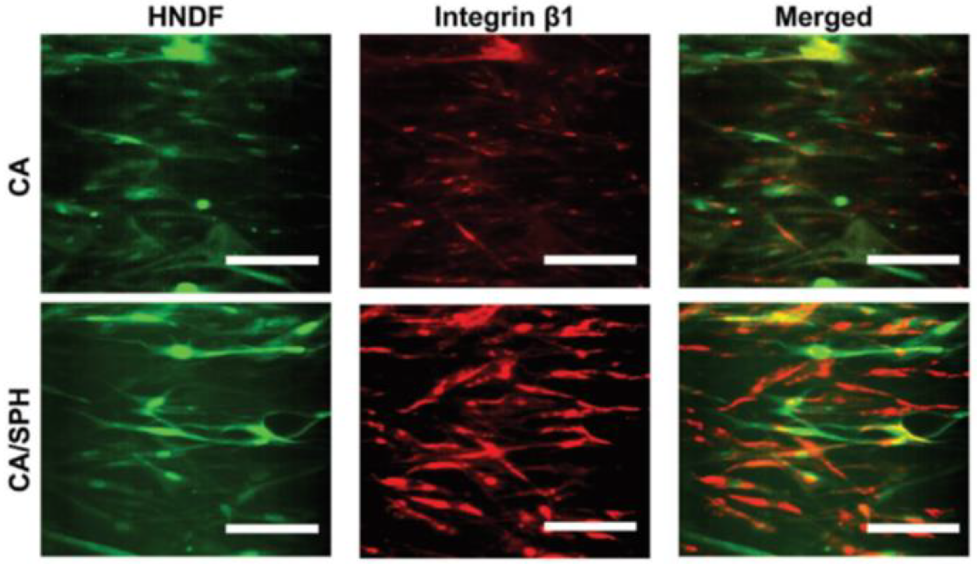 Polymers 15 01253 g012 Polymers 15 01253 g012