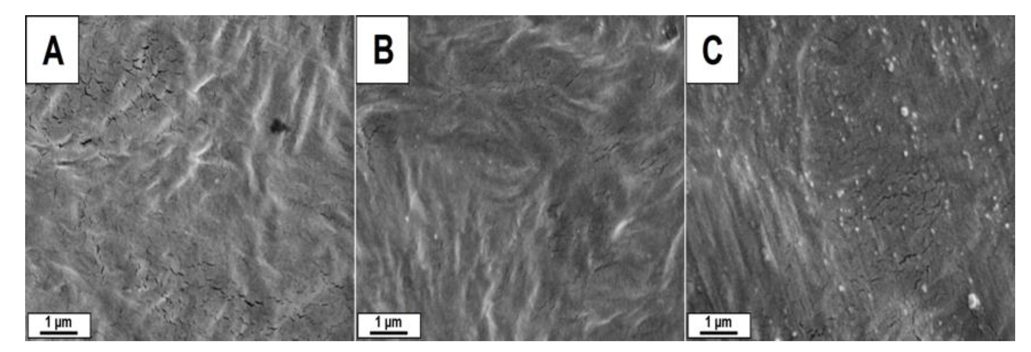 Polymers 15 01259 g002