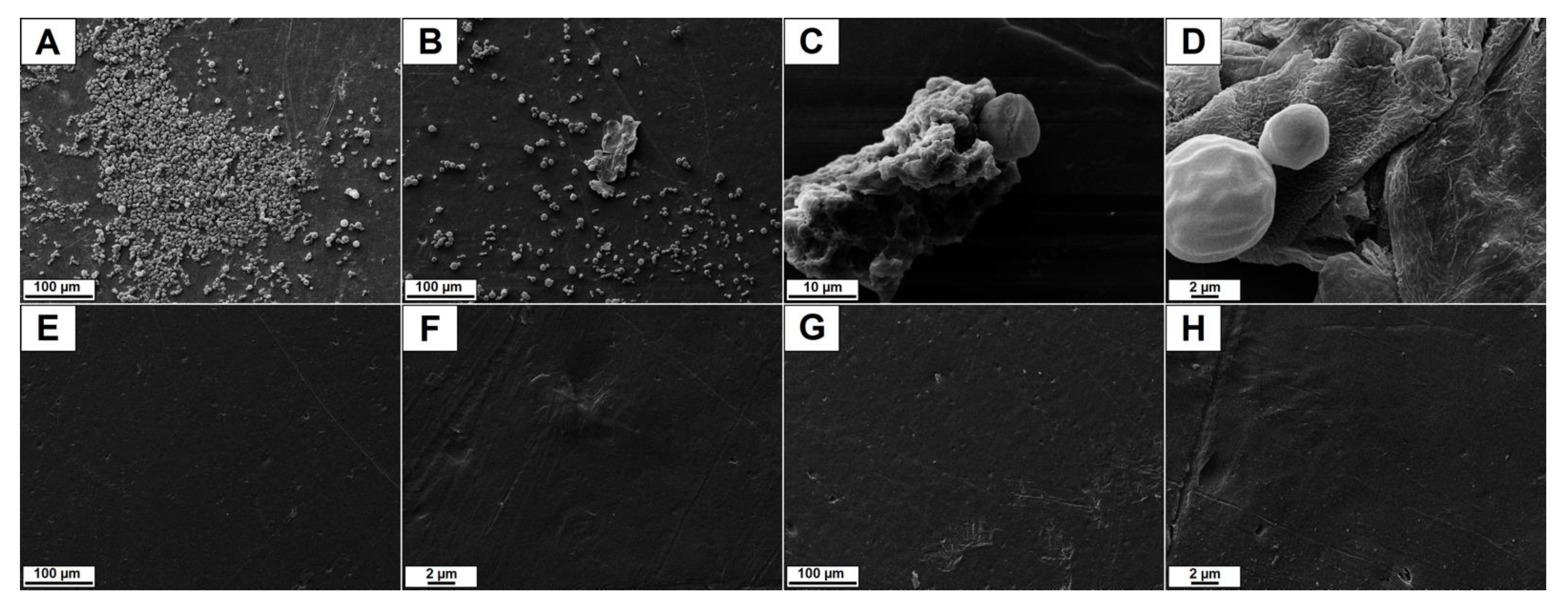 Polymers 15 01259 g008