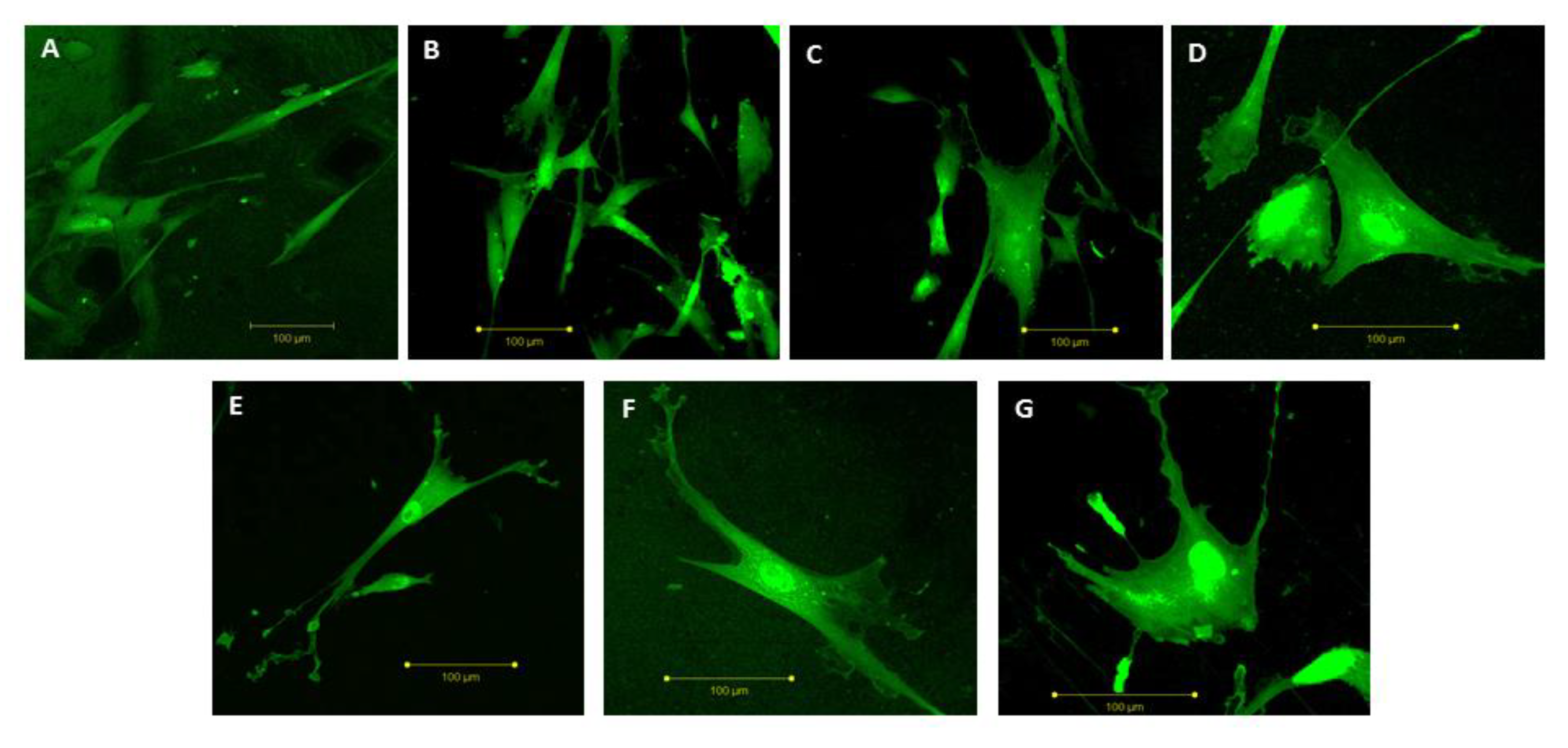 Polymers 15 01259 g009