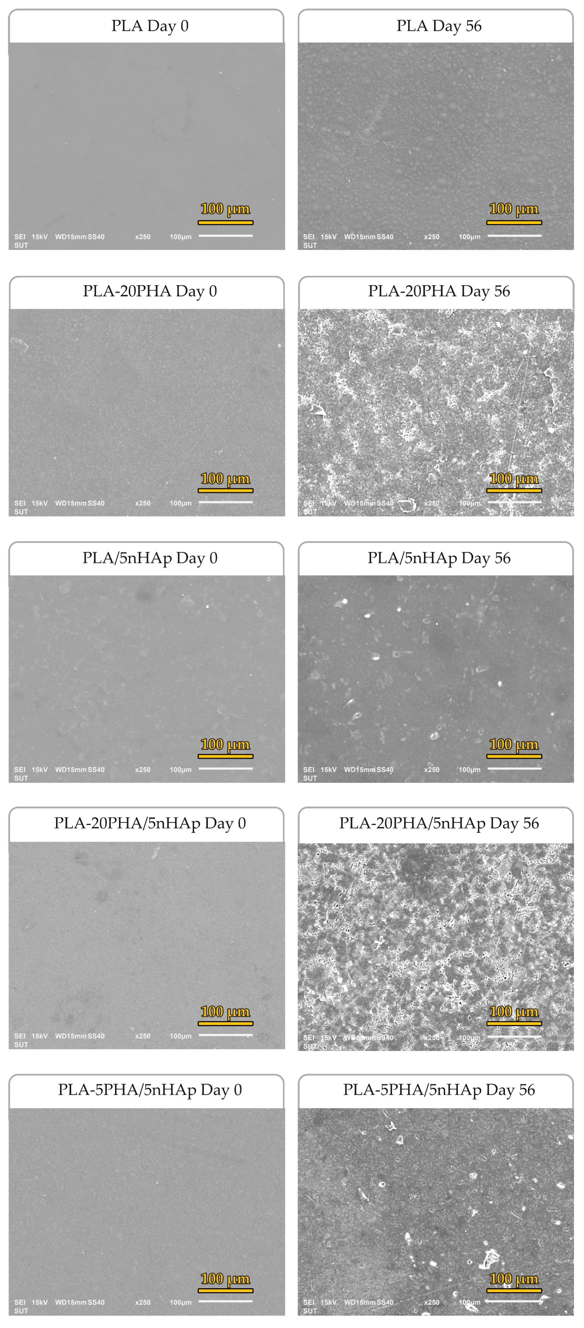 Polymers 15 01261 g008 Polymers 15 01261 g008