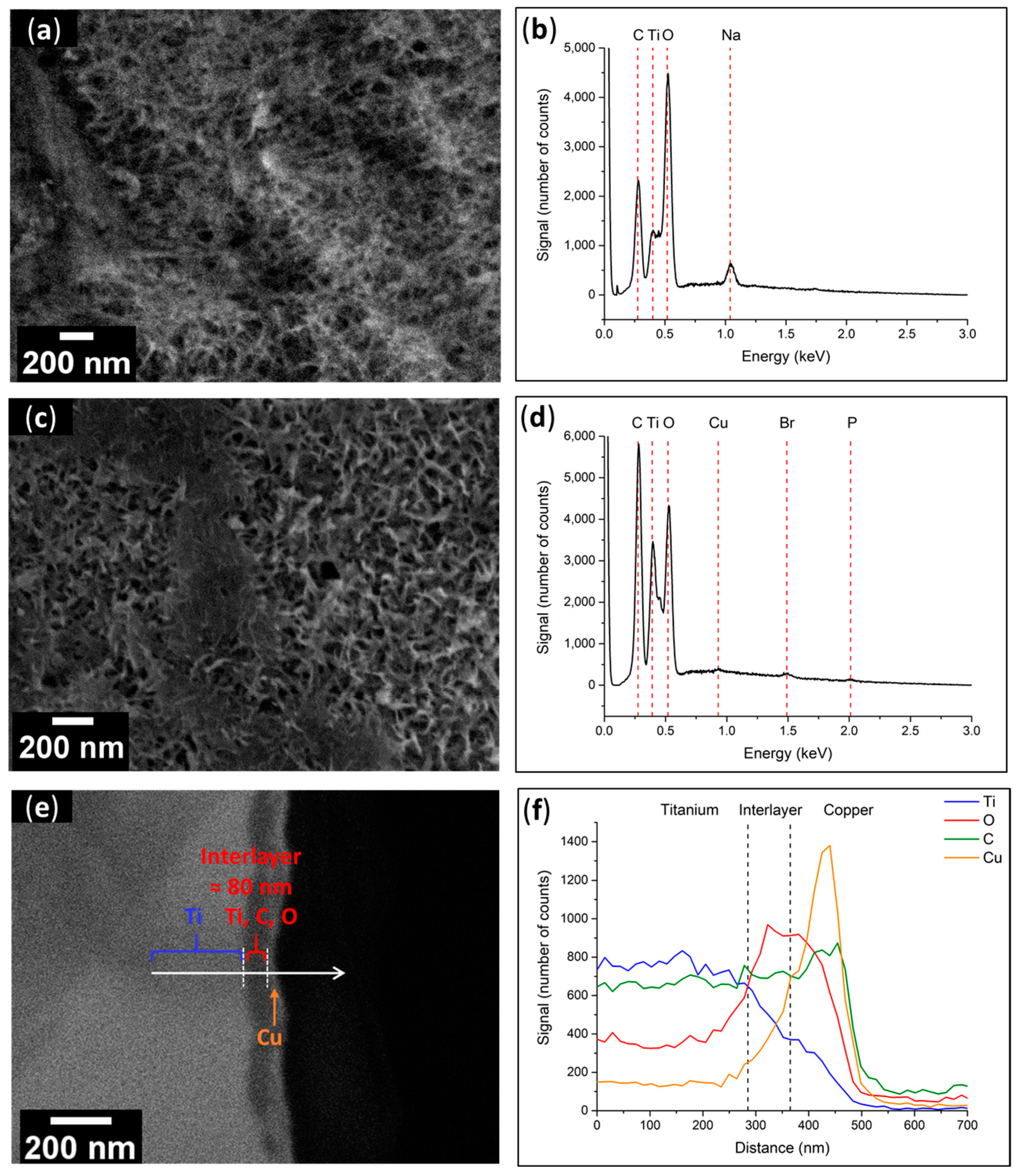Polymers 15 01265 g009 Polymers 15 01265 g009
