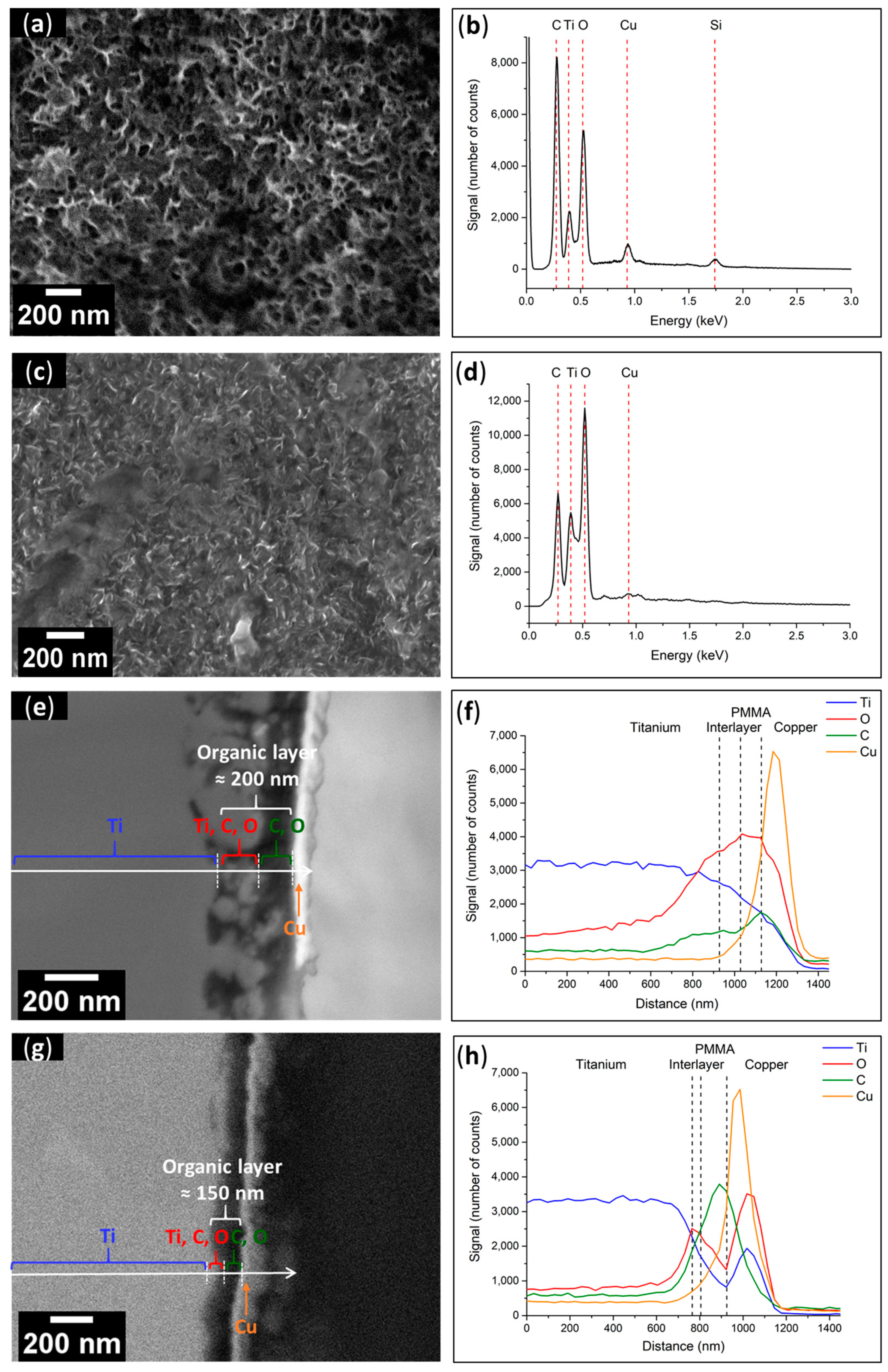 Polymers 15 01265 g010 Polymers 15 01265 g010