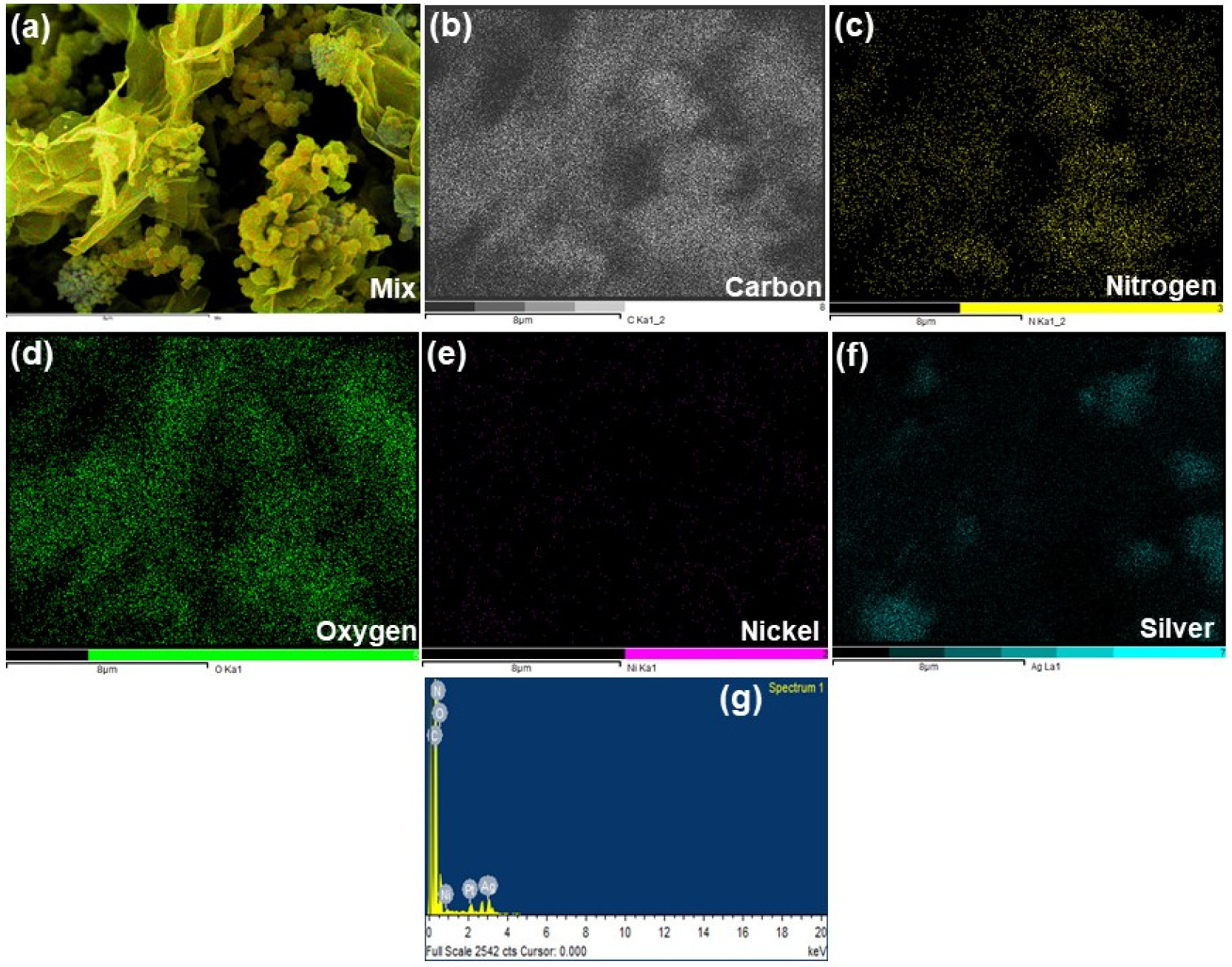 Polymers 15 01267 g002 Polymers 15 01267 g002