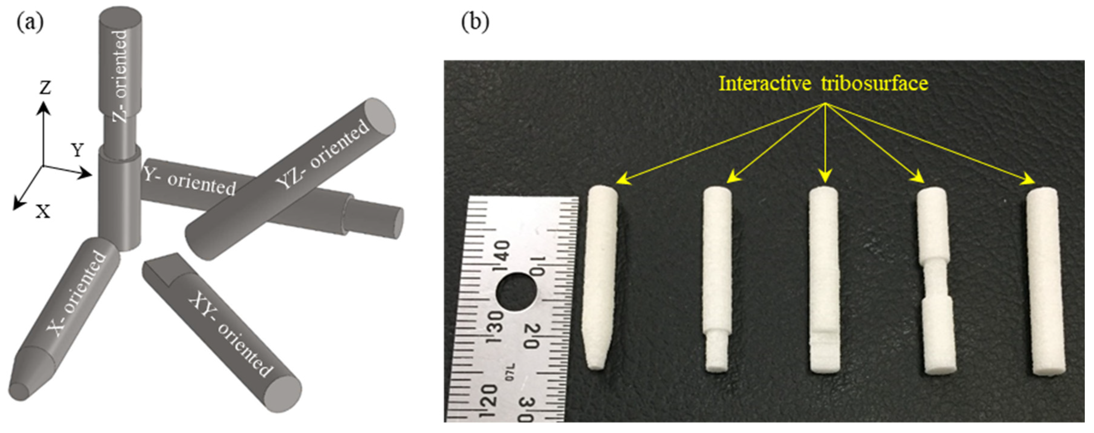 Polymers 15 01268 g001