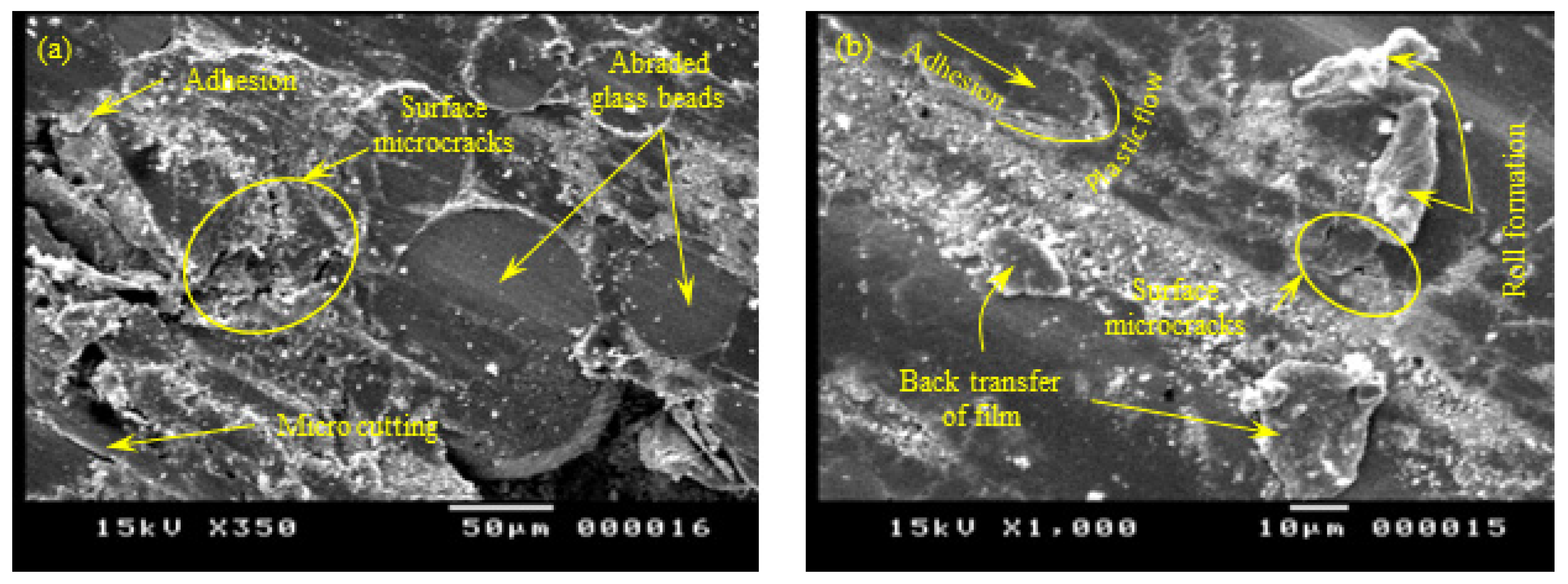 Polymers 15 01268 g011