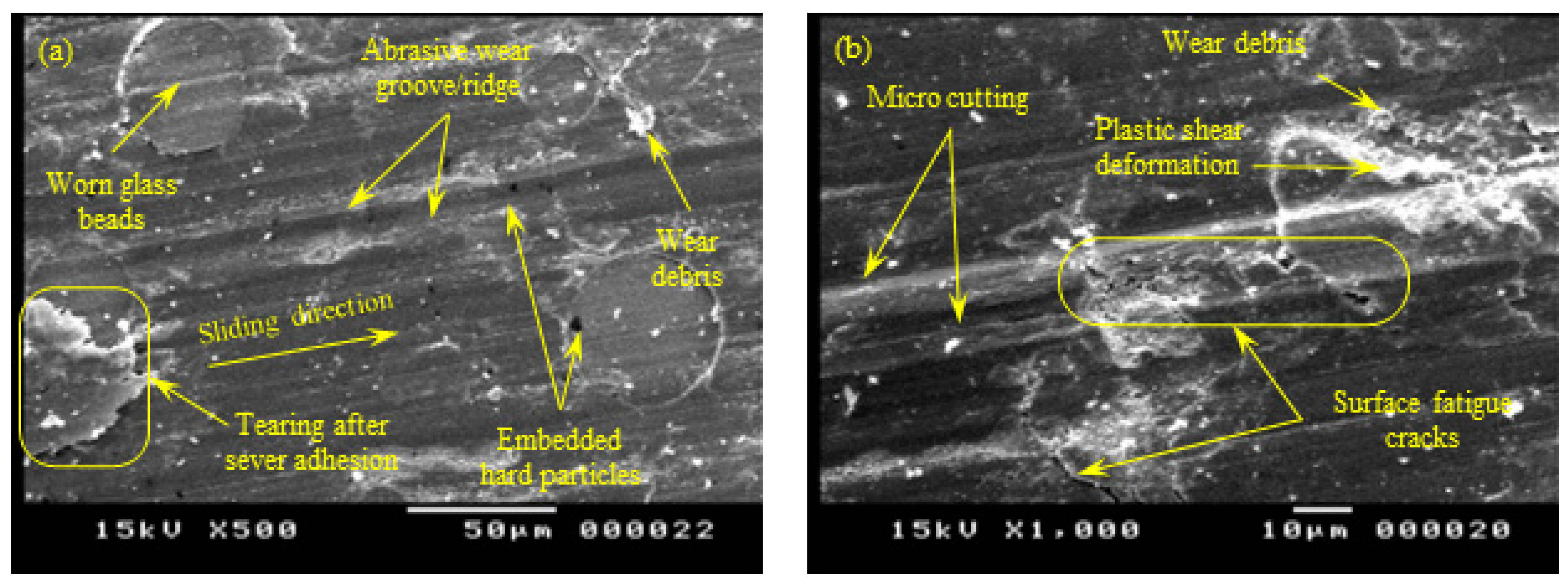 Polymers 15 01268 g012
