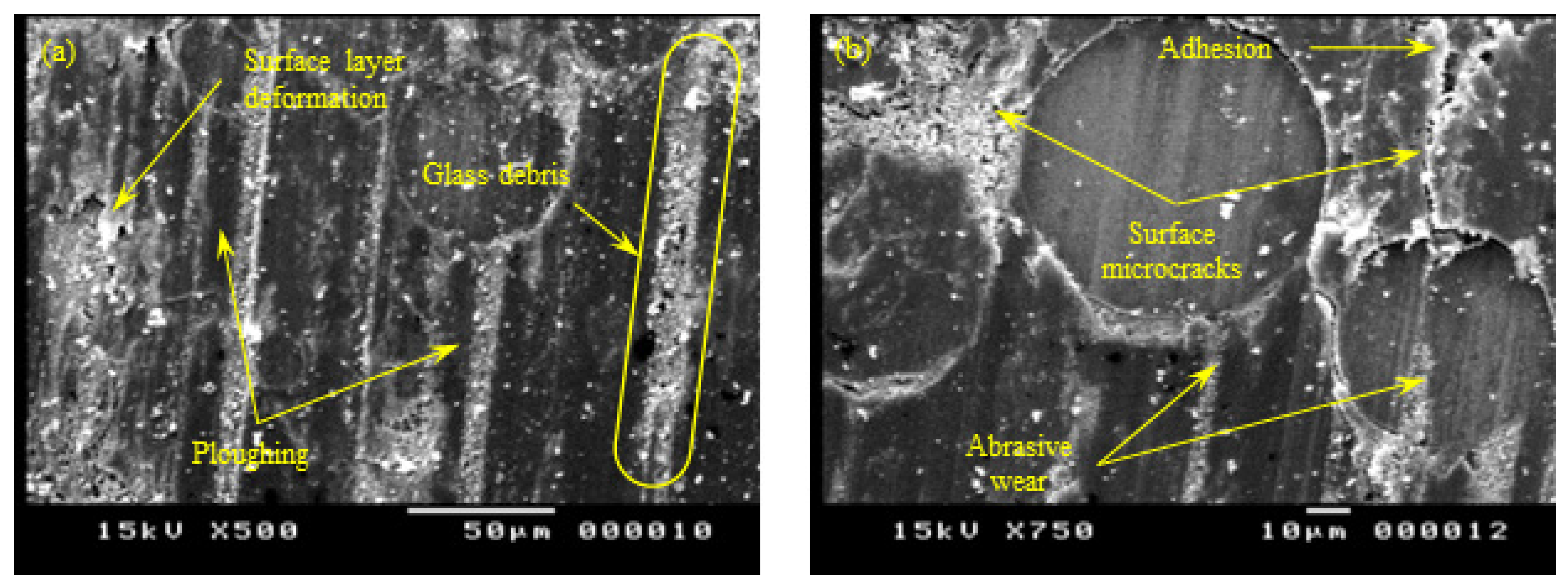 Polymers 15 01268 g014