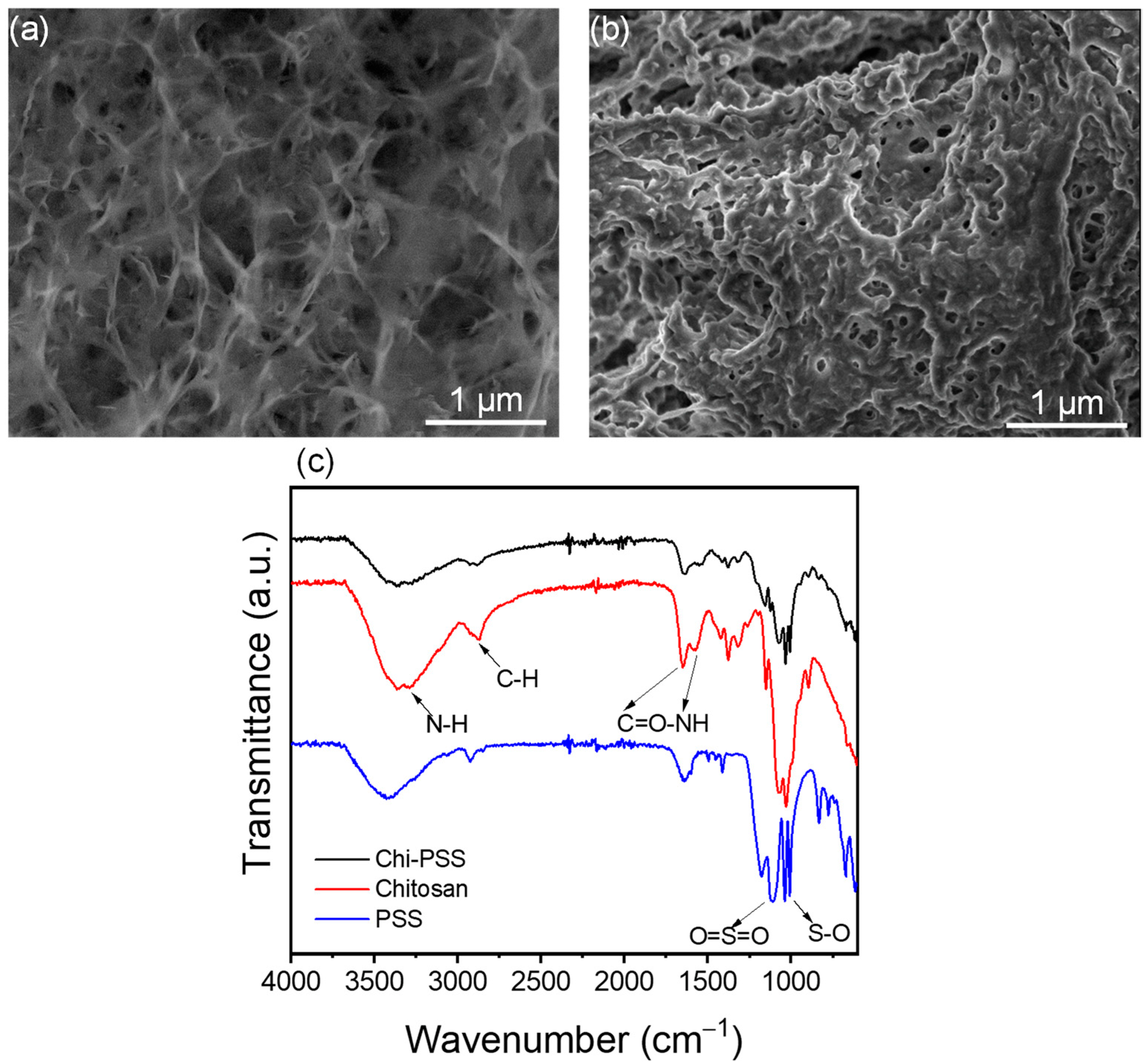 Polymers 15 01269 g001 550
