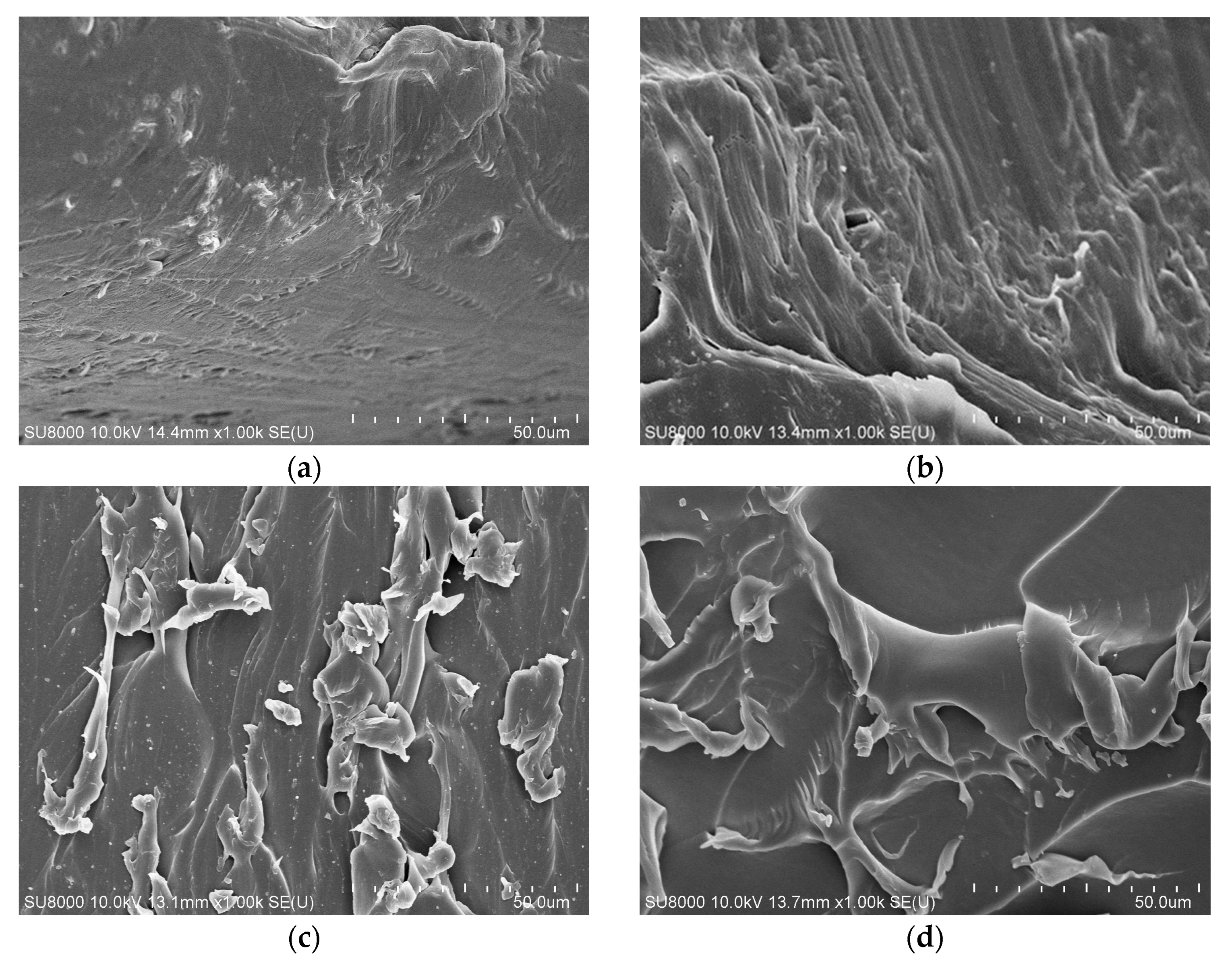 Polymers 15 01272 g005 Polymers 15 01272 g005