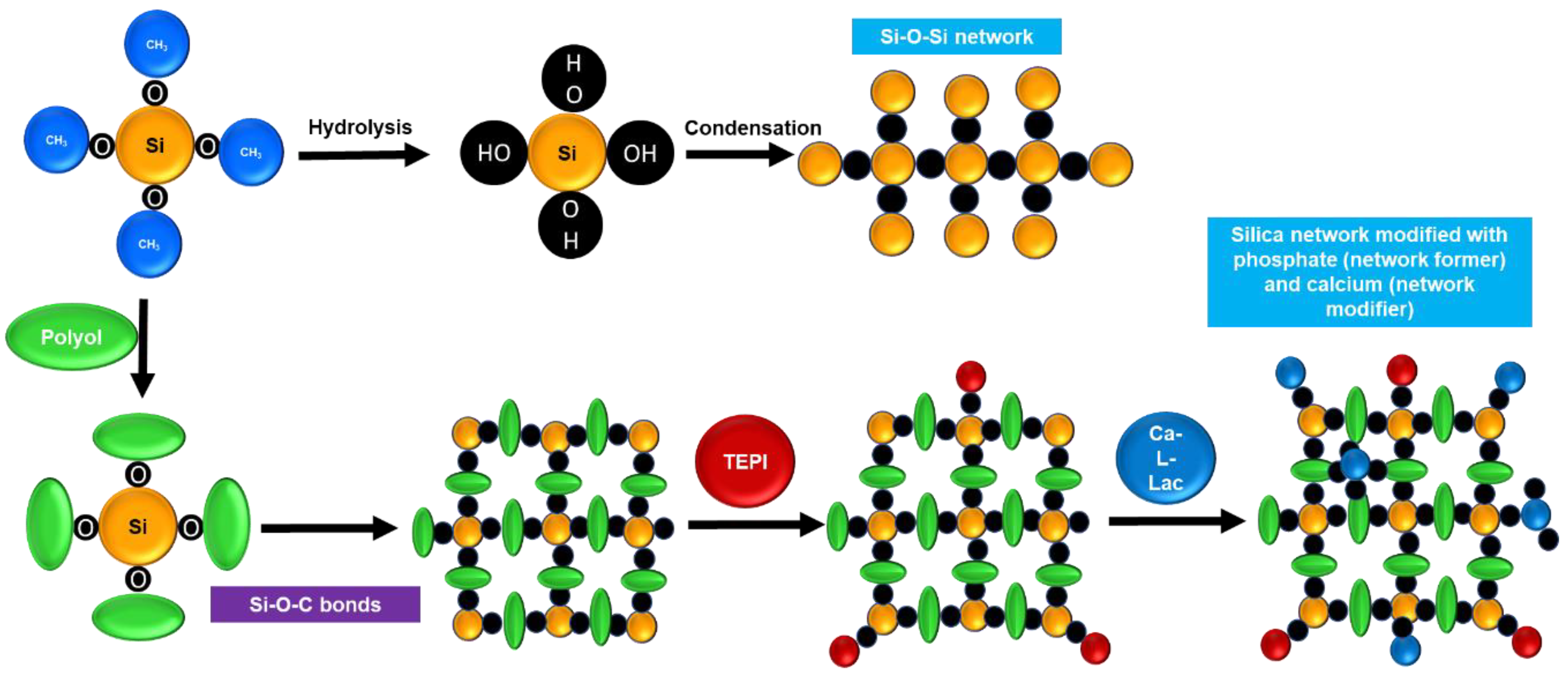 Polymers 15 01273 g001