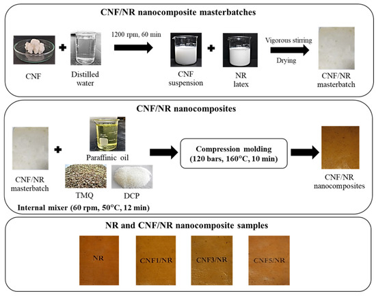 Reinforcement Behavior of Chemically Unmodified Cellulose Nanofiber in ...