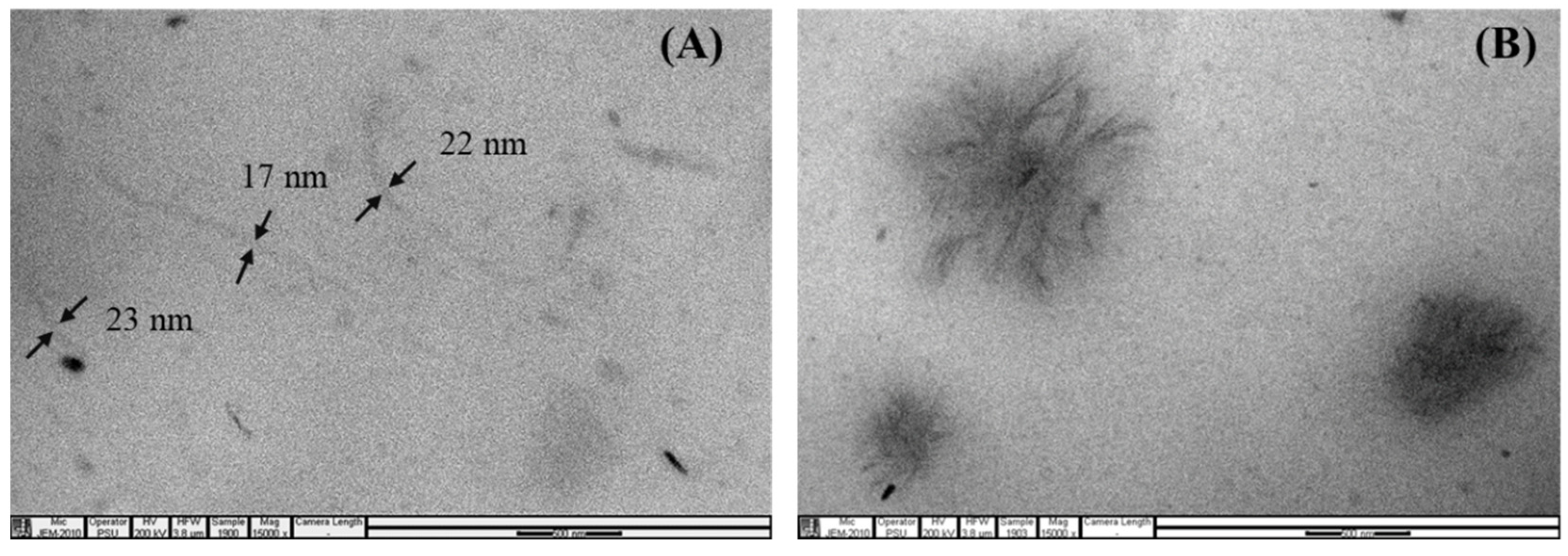 Polymers 15 01274 g003 Polymers 15 01274 g003